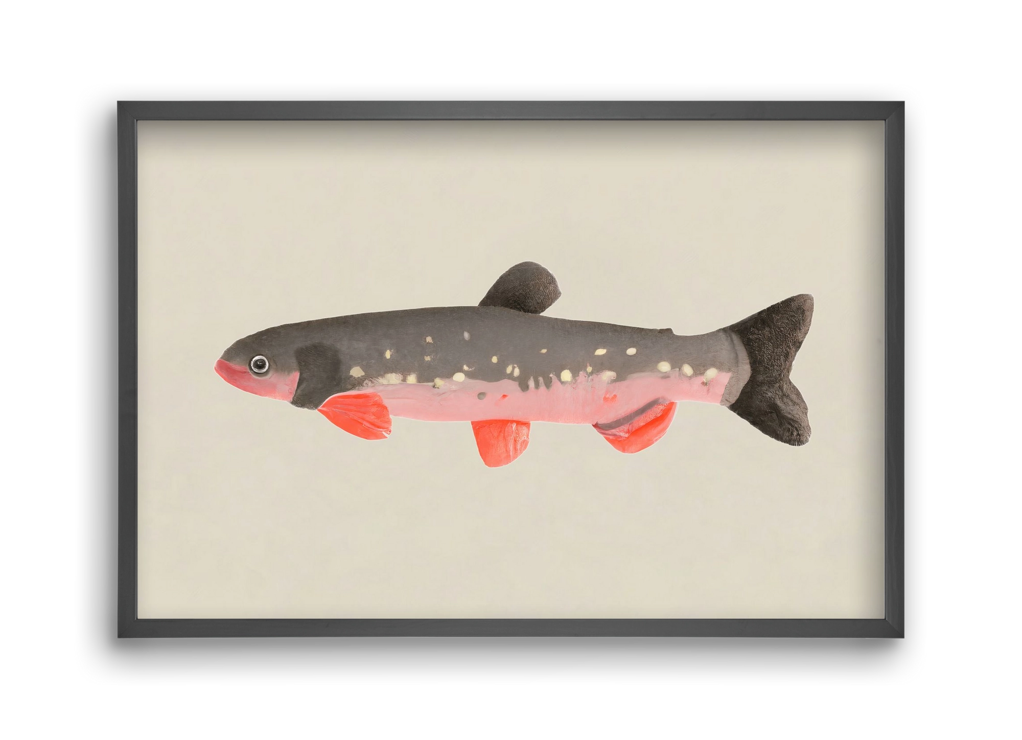 Still fishy, 45x30 cm (45x30 cm), Fekete keret