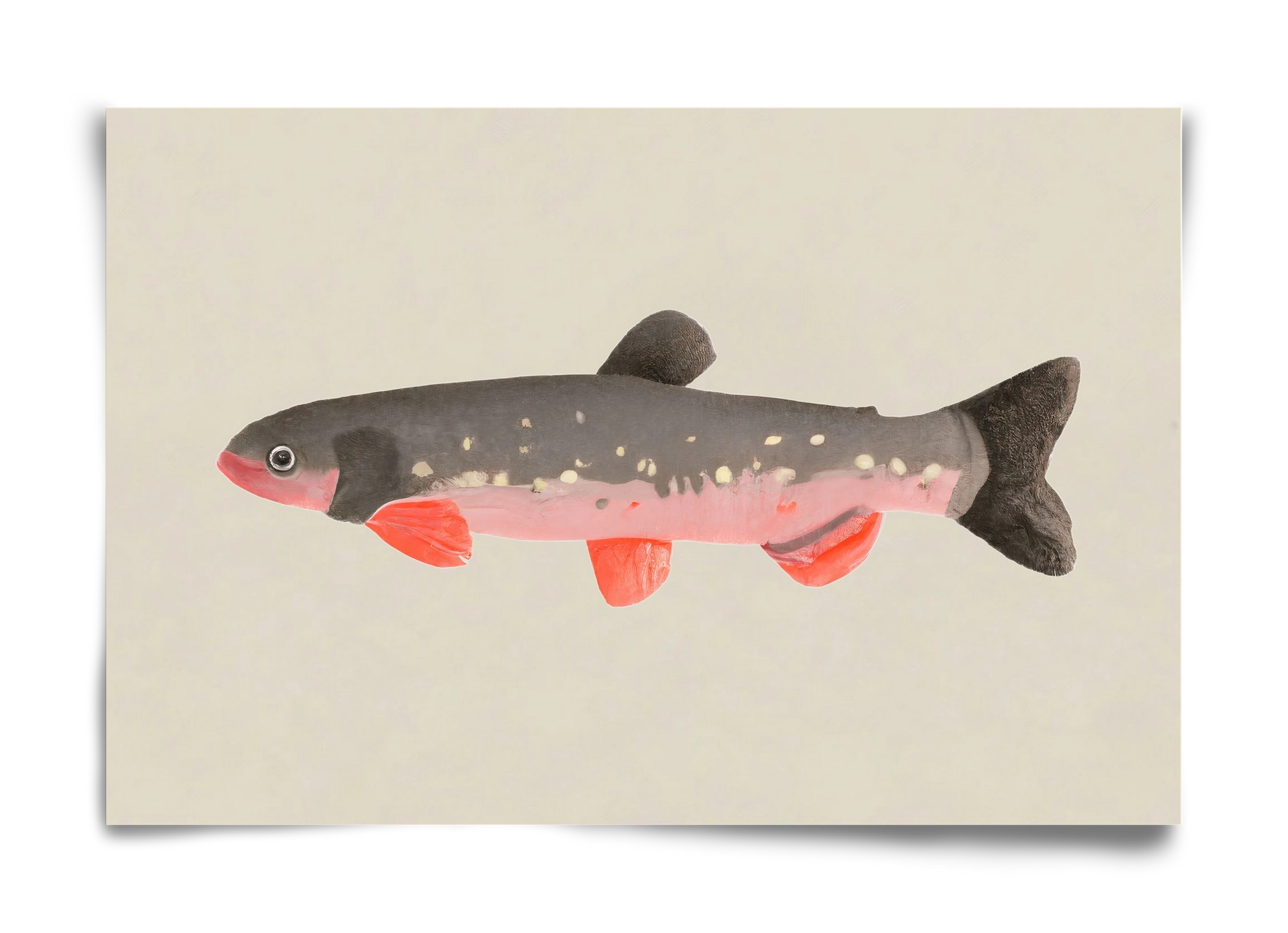 Still fishy, 60x40 cm, Keret nélkül