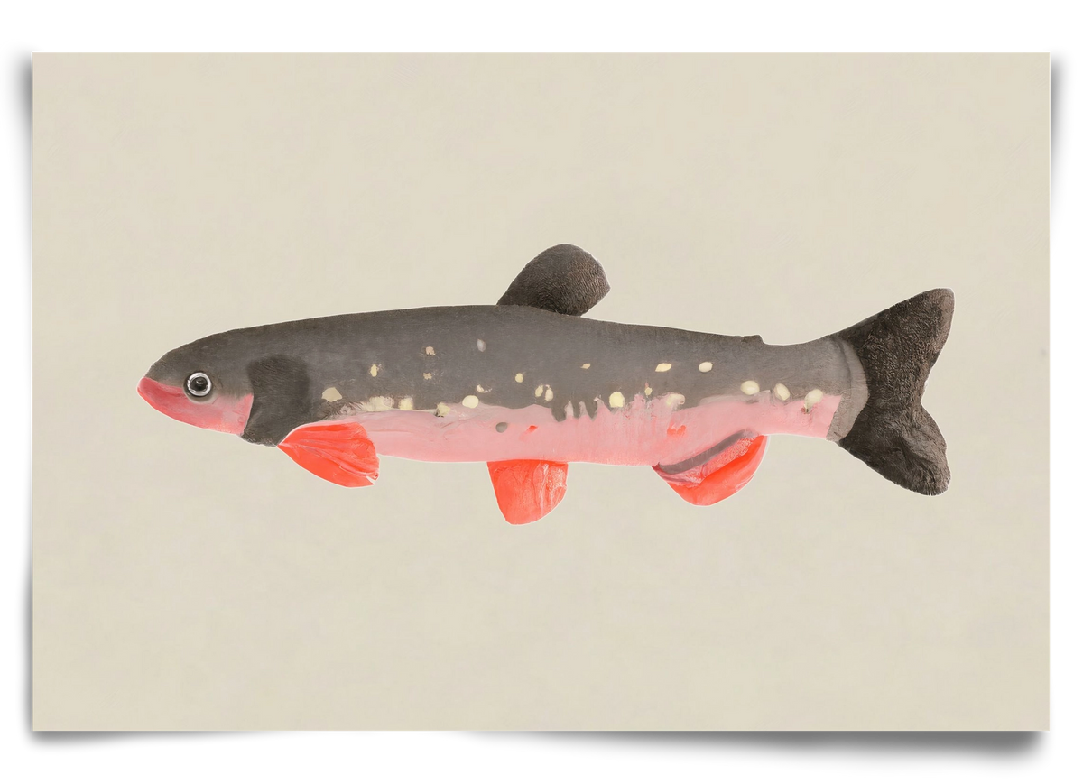 Still fishy, 90x60 cm, Keret nélkül