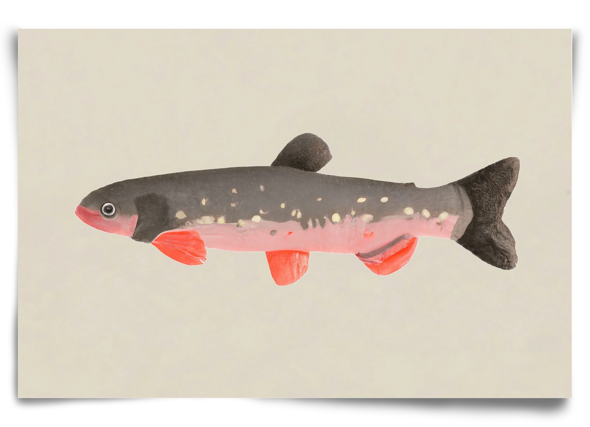 Still fishy, 90x60 cm, Keret nélkül