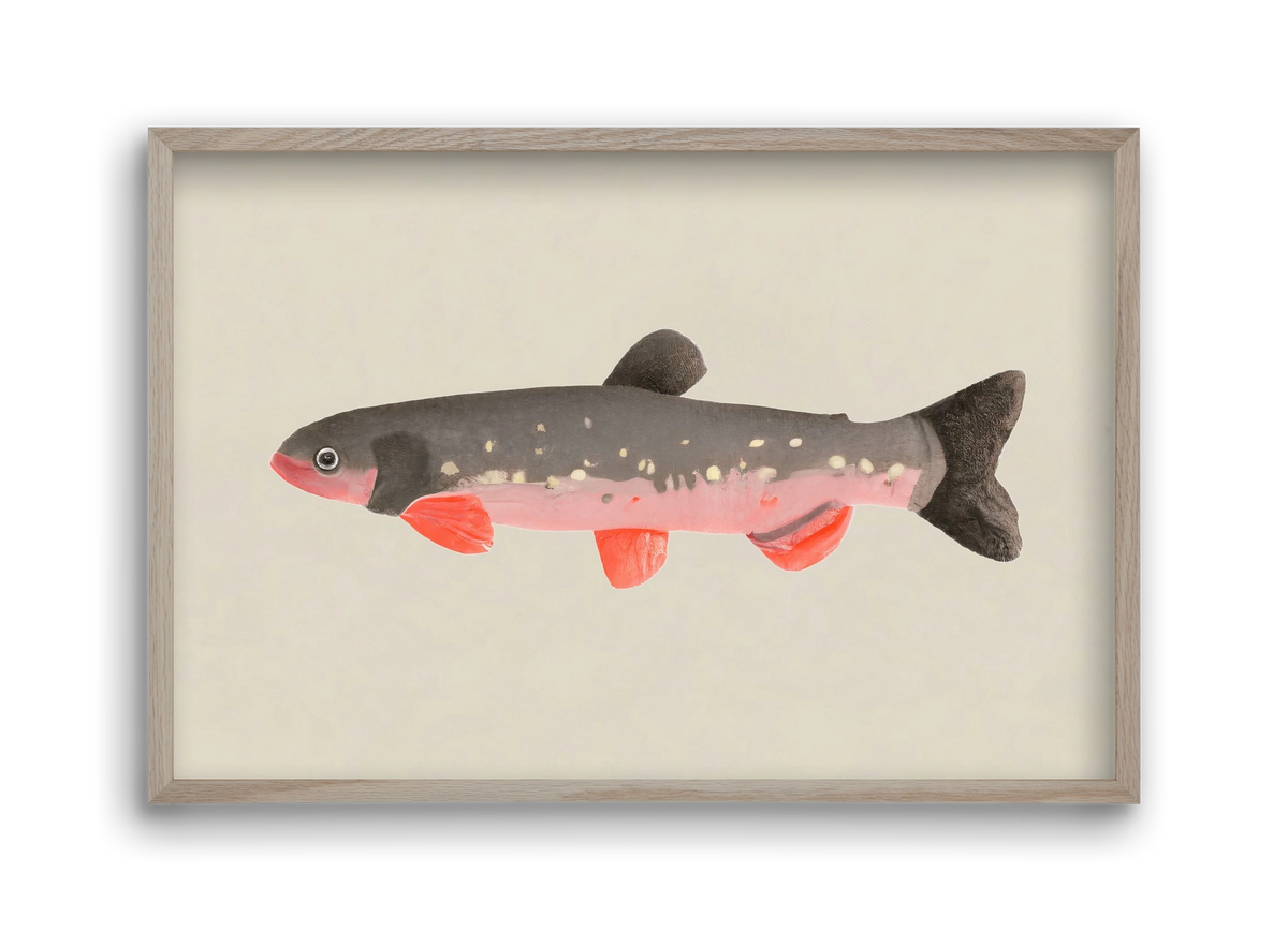 Still fishy, 45x30 cm (45x30 cm), Tölgy keret