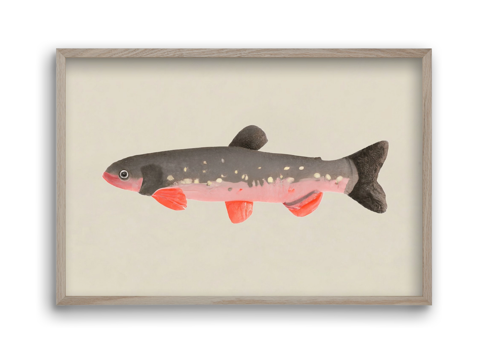 Still fishy, 45x30 cm (45x30 cm), Tölgy keret