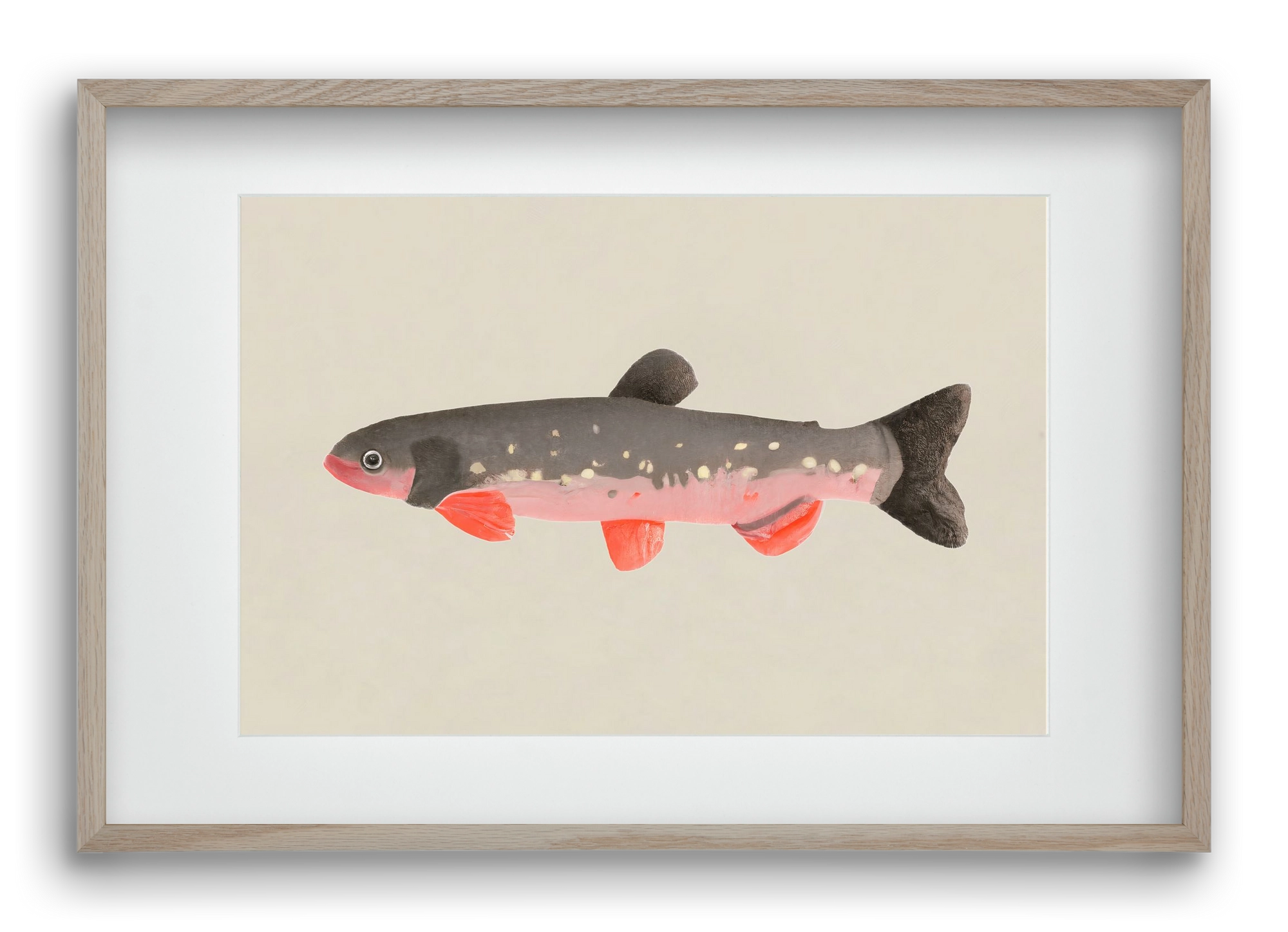 Still fishy, 60x40 cm (45x30 cm), Tölgy keret, paszpartuval