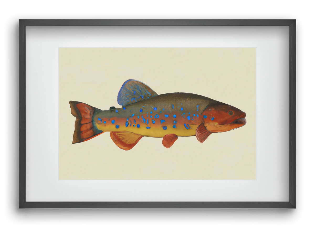 Radiant reef, 60x40 cm (45x30 cm), Fekete keret, paszpartuval