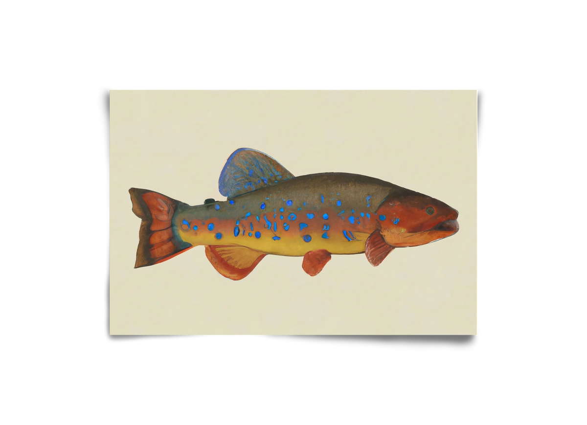 Radiant reef, 30x20 cm, Keret nélkül