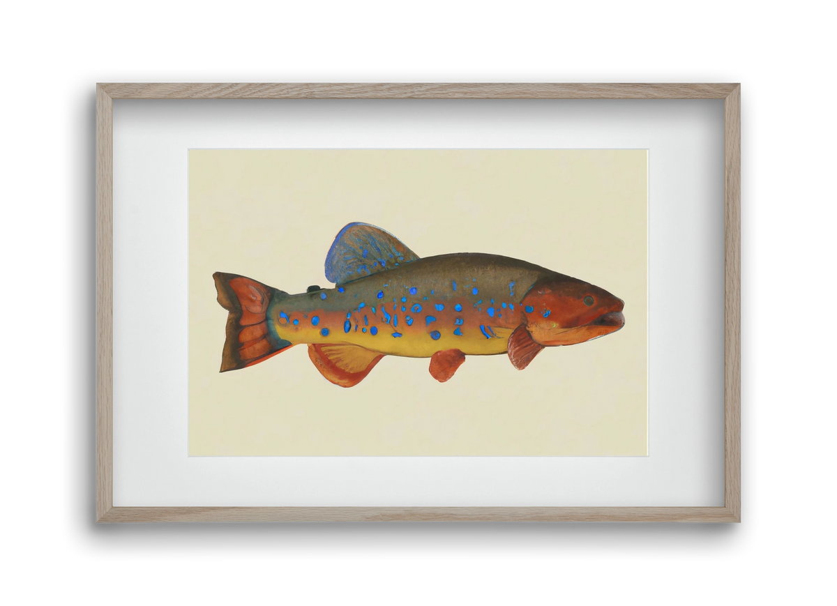 Radiant reef, 45x30 cm (30x20 cm), Tölgy keret, paszpartuval