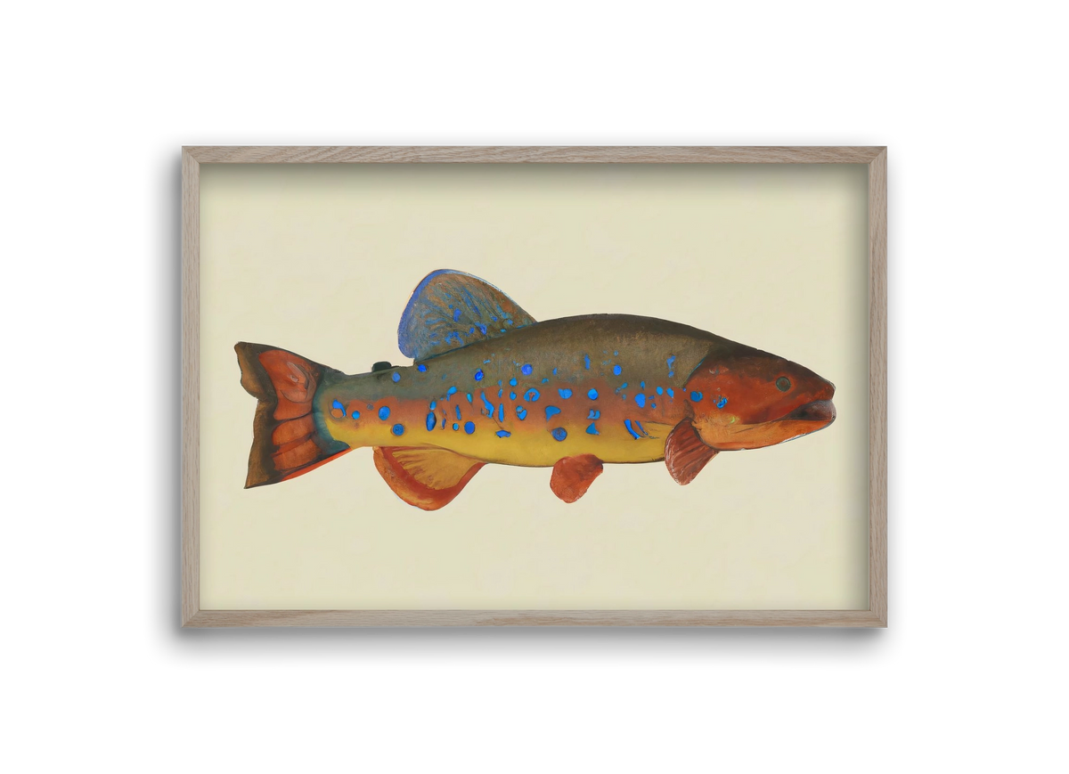 Radiant reef, 30x20 cm (30x20 cm), Tölgy keret