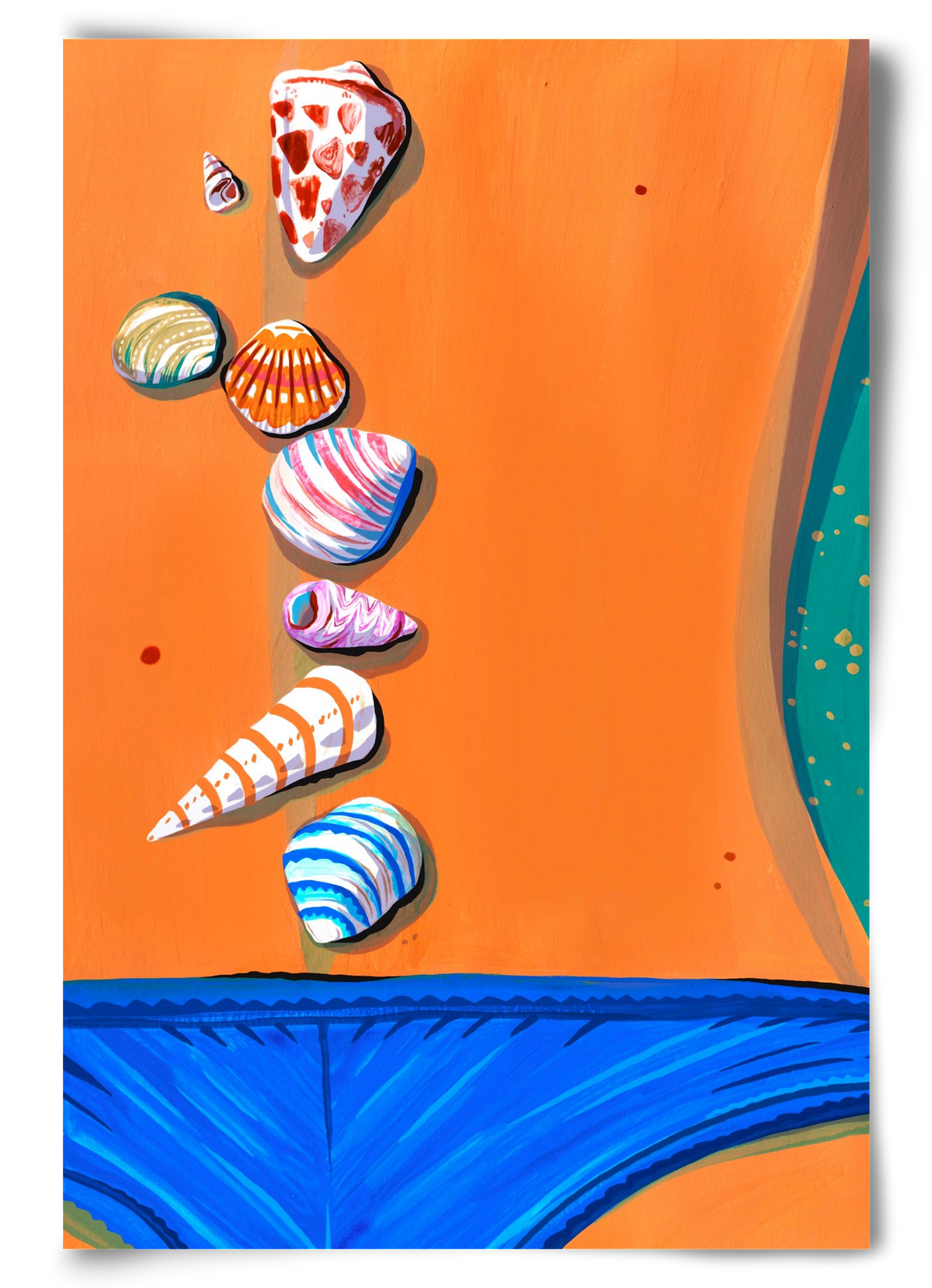 Shells, 60x90 cm, Keret nélkül