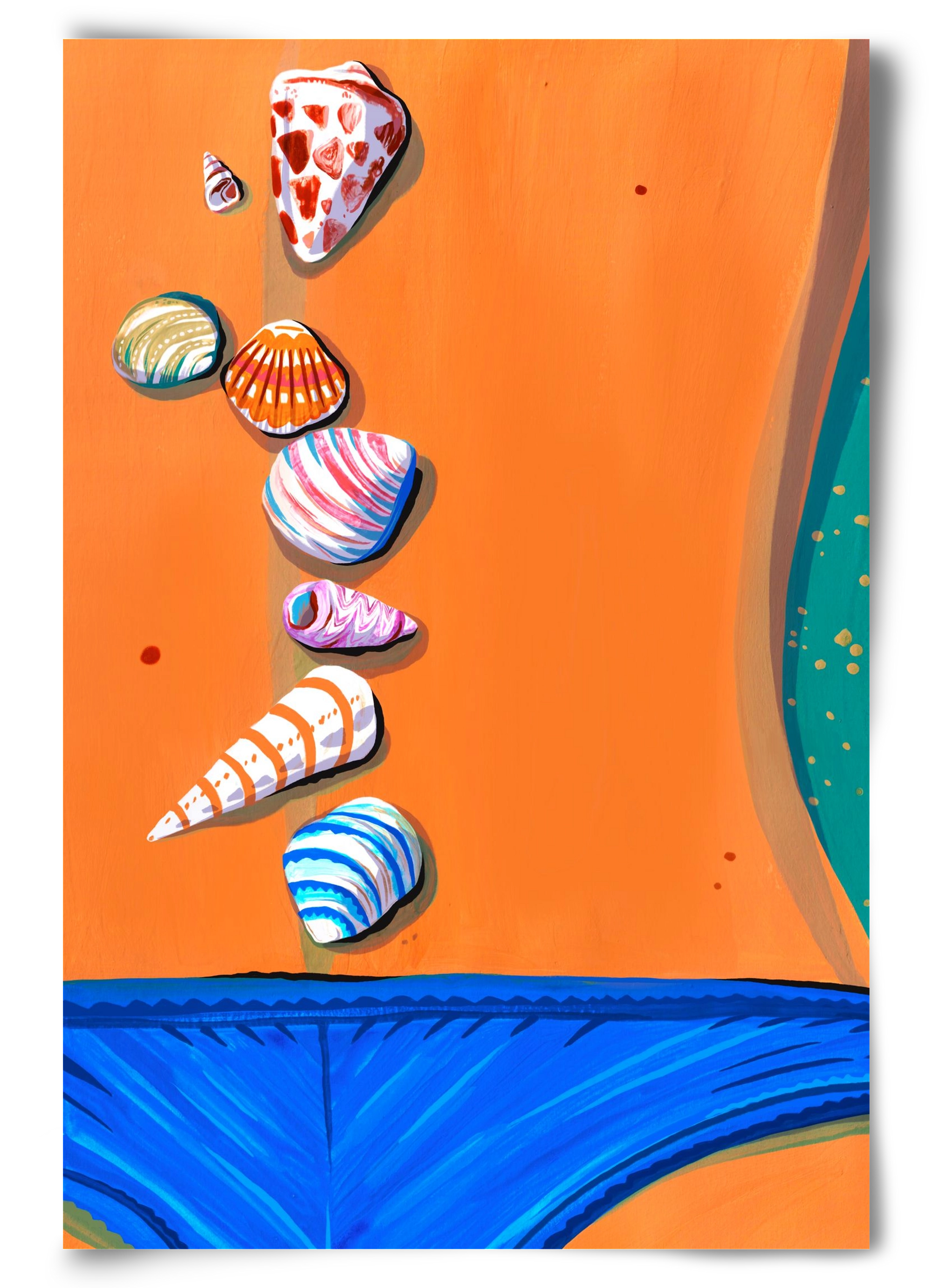 Shells, 60x90 cm, Keret nélkül