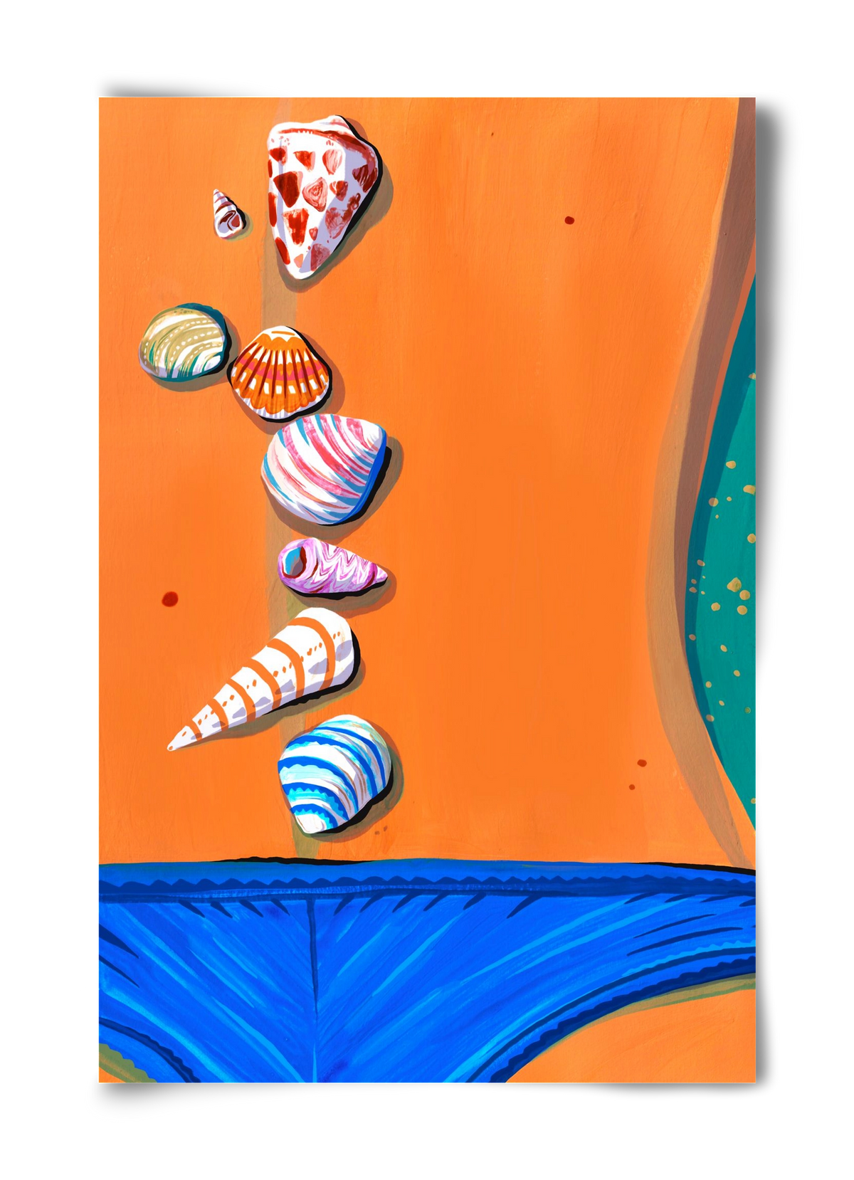 Shells, 40x60 cm, Keret nélkül