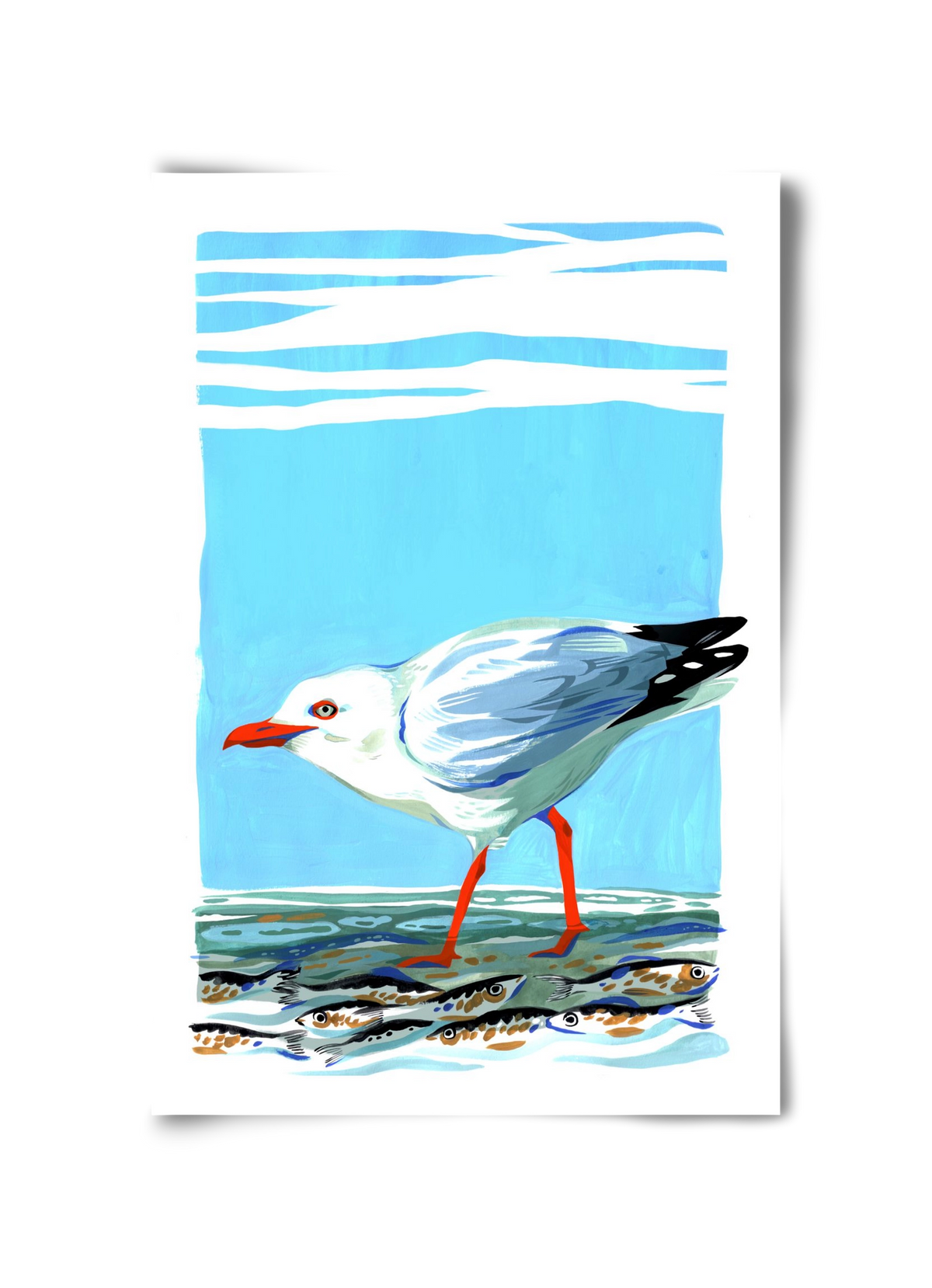 Seagull, 30x45 cm, Keret nélkül
