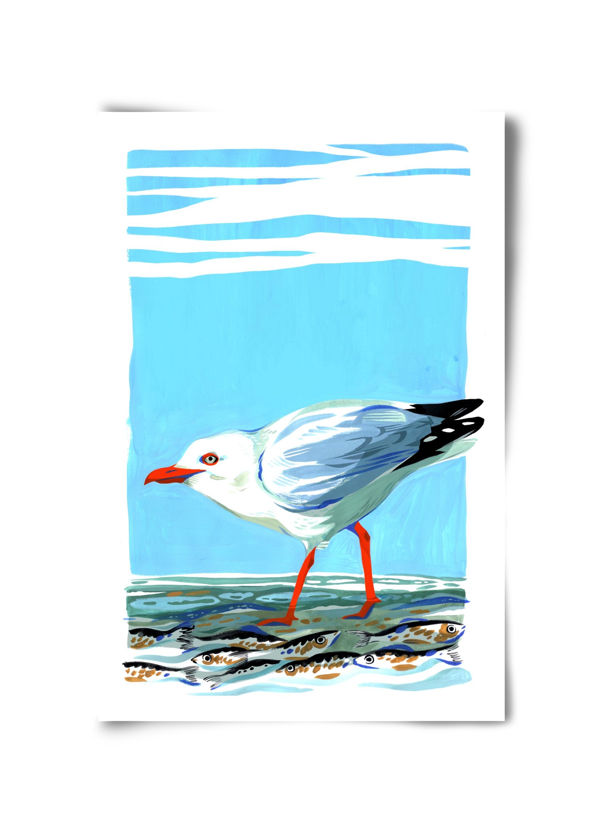 Seagull, 30x45 cm, Keret nélkül