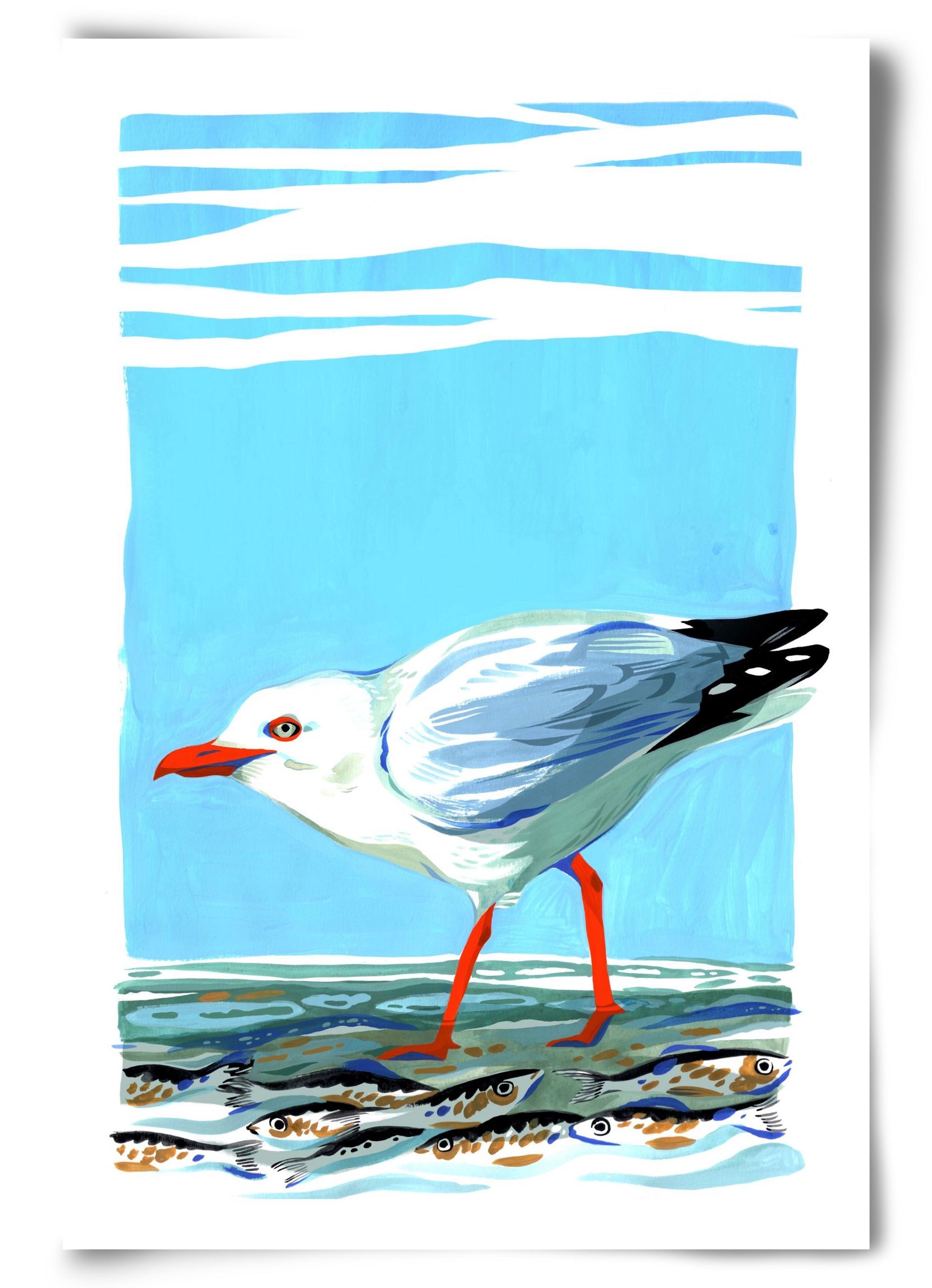 Seagull, 60x90 cm, Keret nélkül