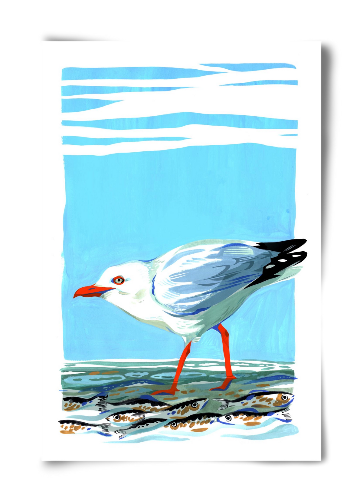 Seagull, 40x60 cm, Keret nélkül