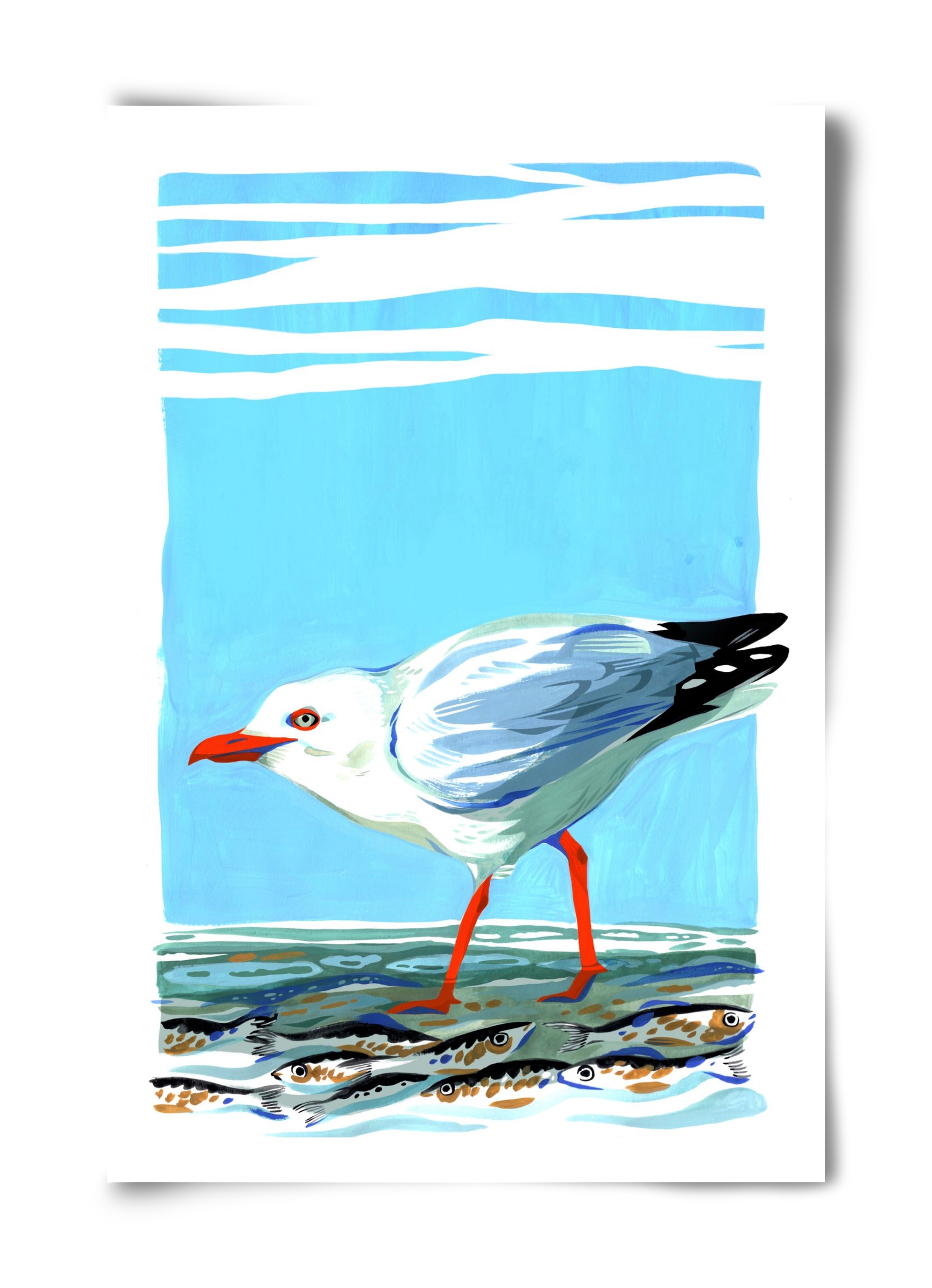 Seagull, 40x60 cm, Keret nélkül