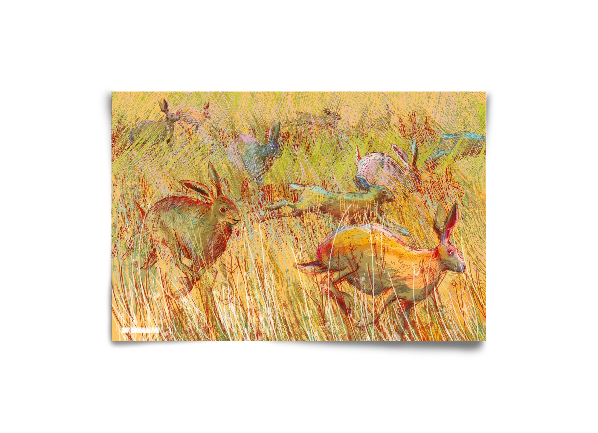 Running of hares, 30x20 cm, Keret nélkül