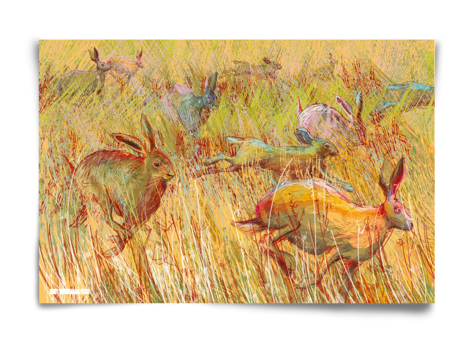 Running of hares, 60x40 cm, Keret nélkül