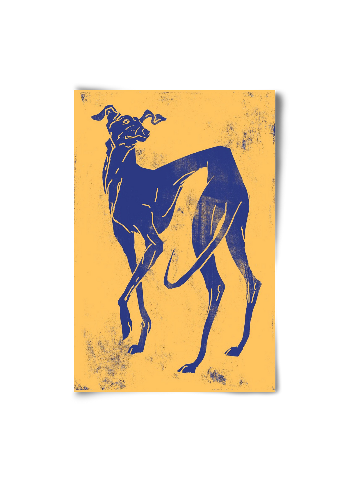 Greyhound II., 20x30 cm, Keret nélkül