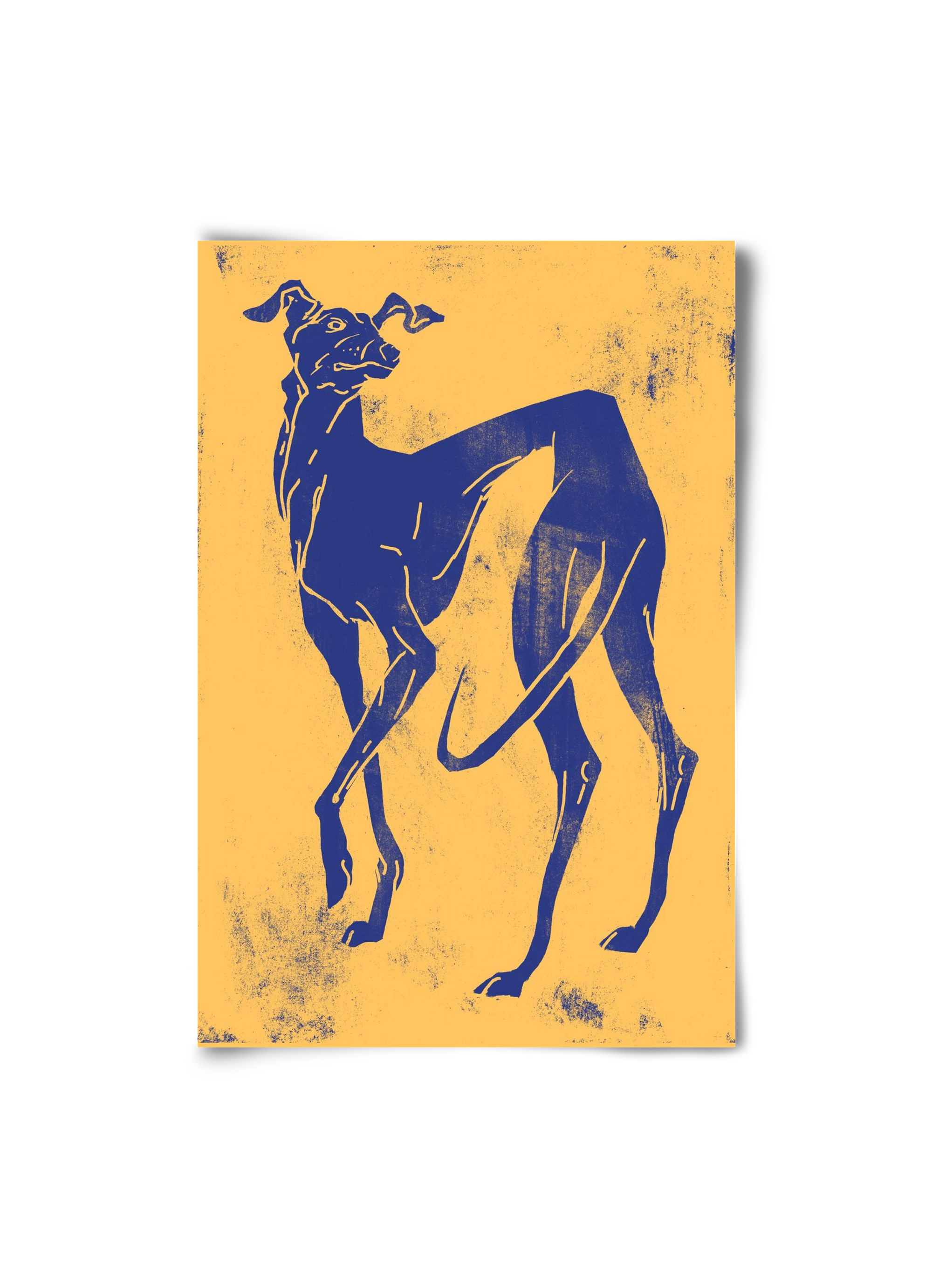 Greyhound II., 20x30 cm, Keret nélkül