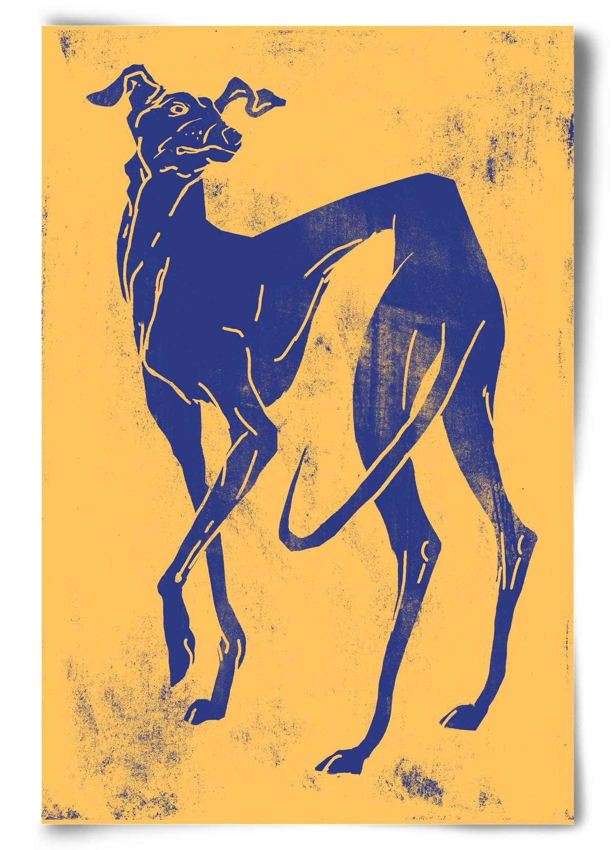 Greyhound II., 60x90 cm, Keret nélkül