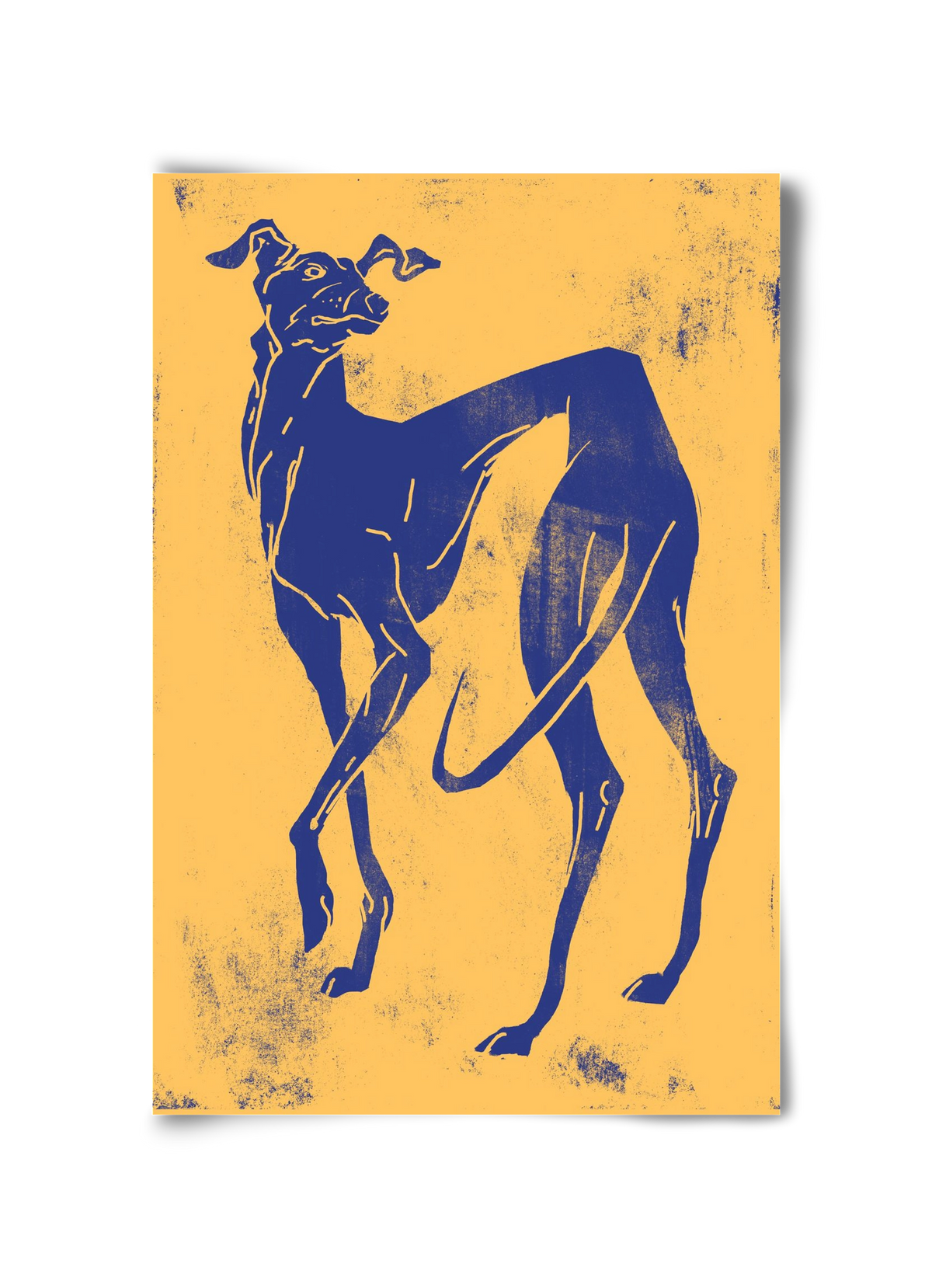 Greyhound II., 30x45 cm, Keret nélkül
