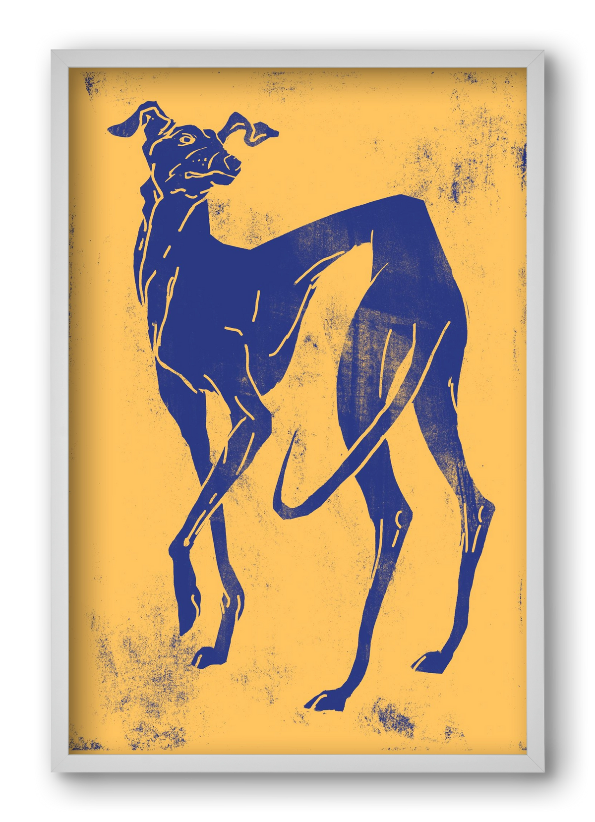 Greyhound II., 40x60 cm (40x60 cm), Fehér keret