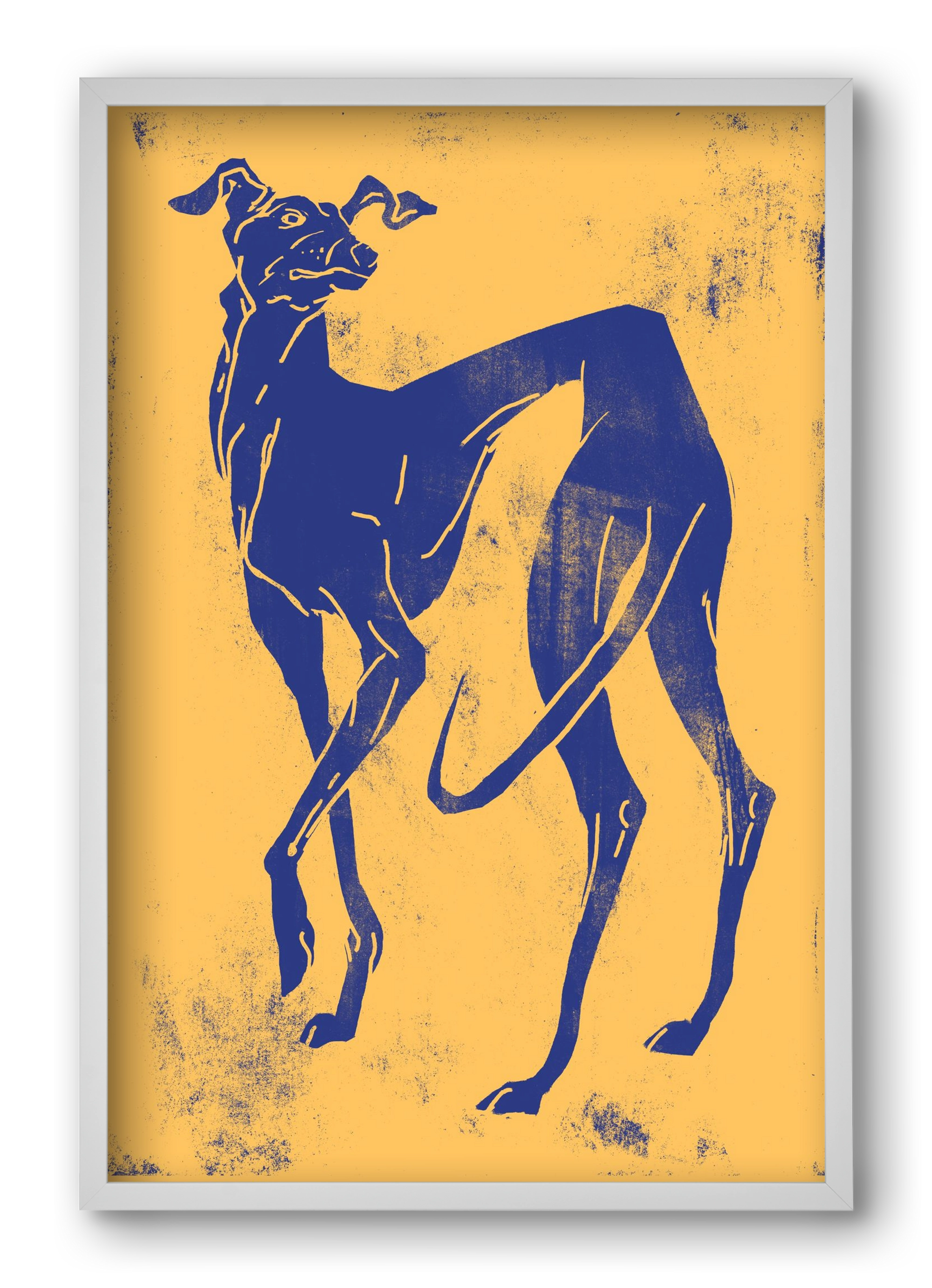 Greyhound II., 40x60 cm (40x60 cm), Fehér keret