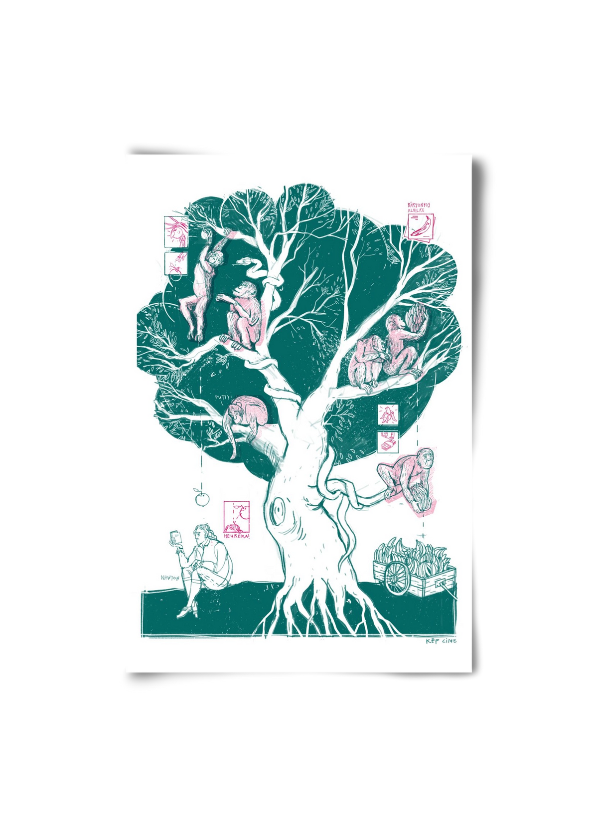 The genesis of monkeys, 20x30 cm, Keret nélkül