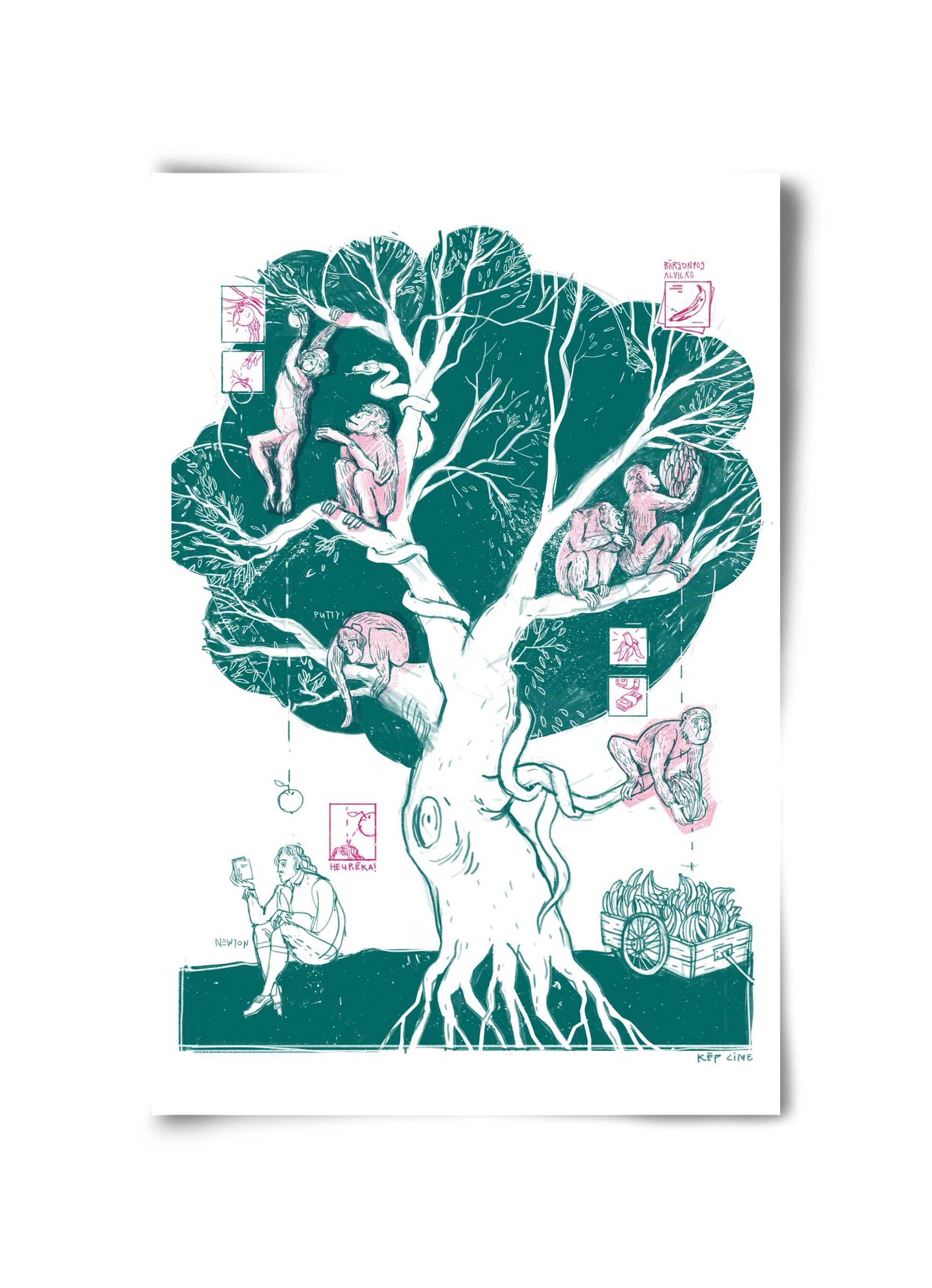 The genesis of monkeys, 30x45 cm, Keret nélkül