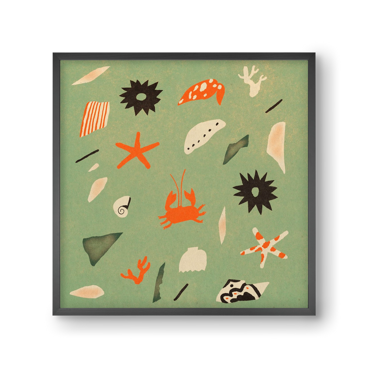 Sealife, 30x30 cm (30x30 cm), Fekete keret