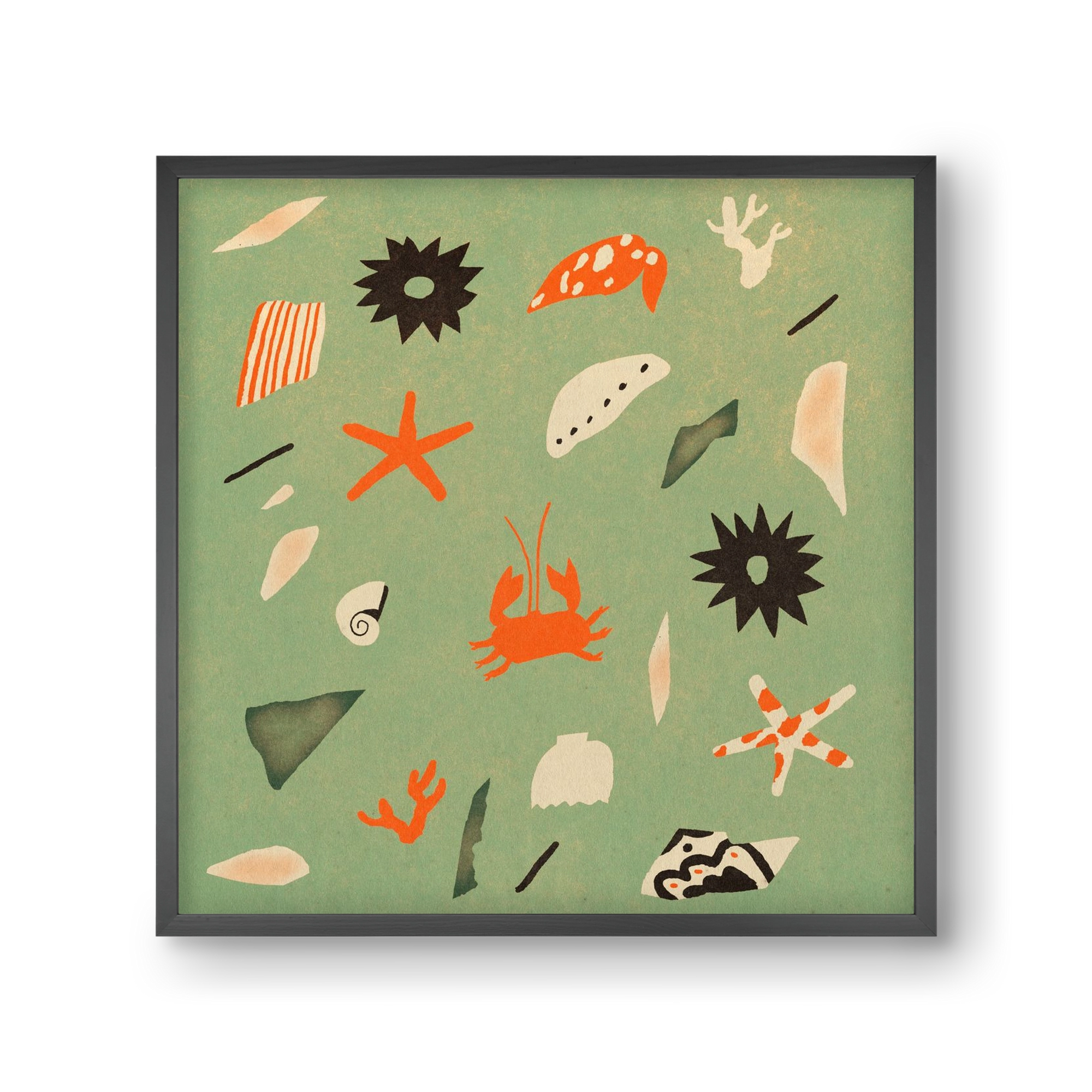 Sealife, 30x30 cm (30x30 cm), Fekete keret