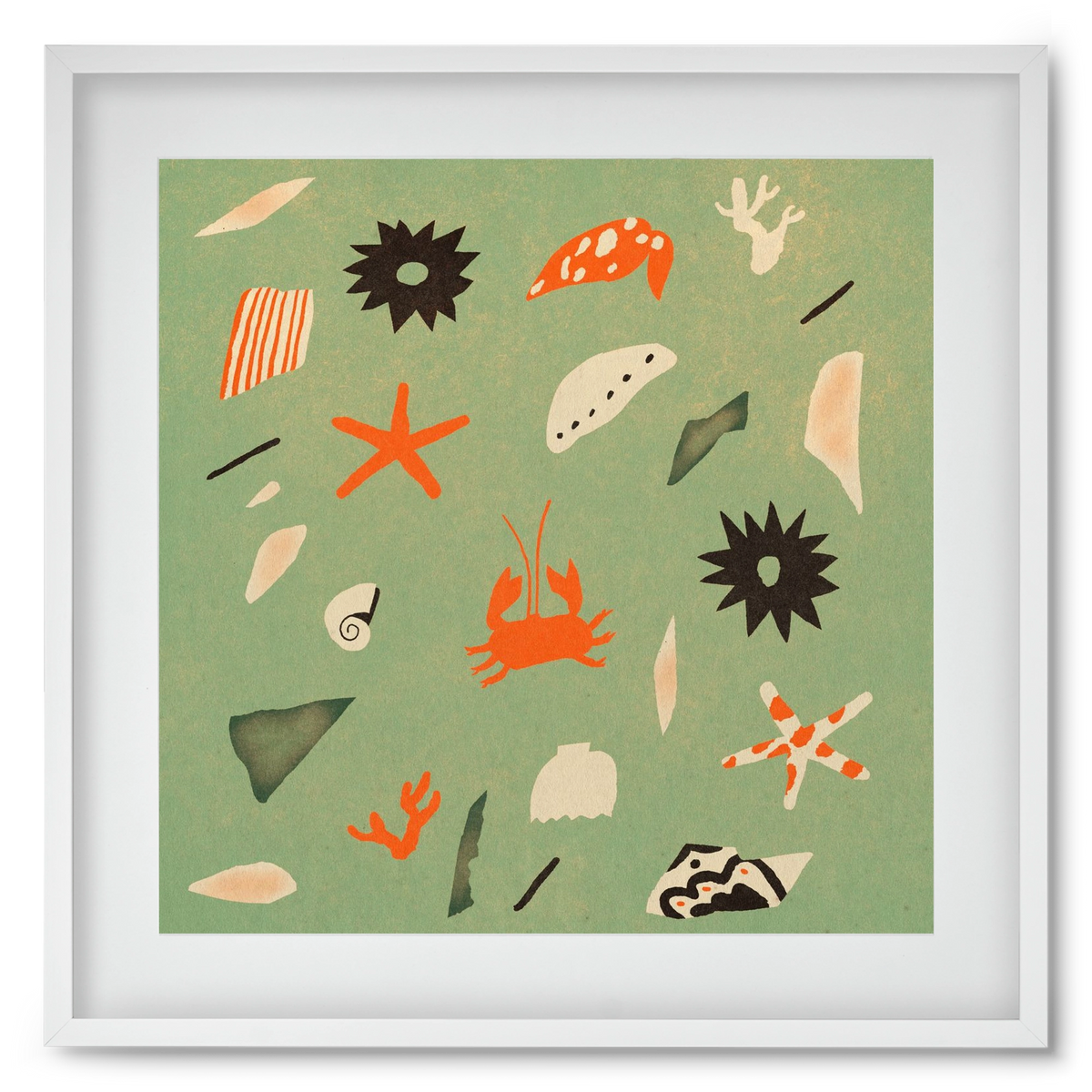 Sealife, 50x50 cm (40x40 cm), Fehér keret, paszpartuval