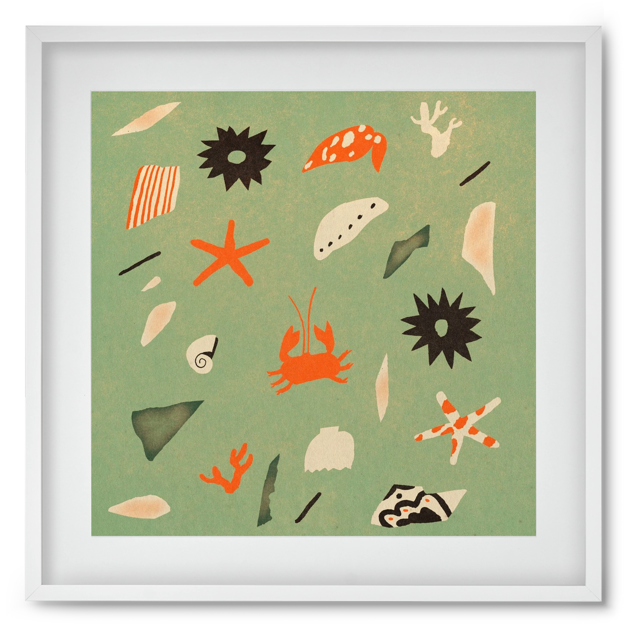 Sealife, 50x50 cm (40x40 cm), Fehér keret, paszpartuval