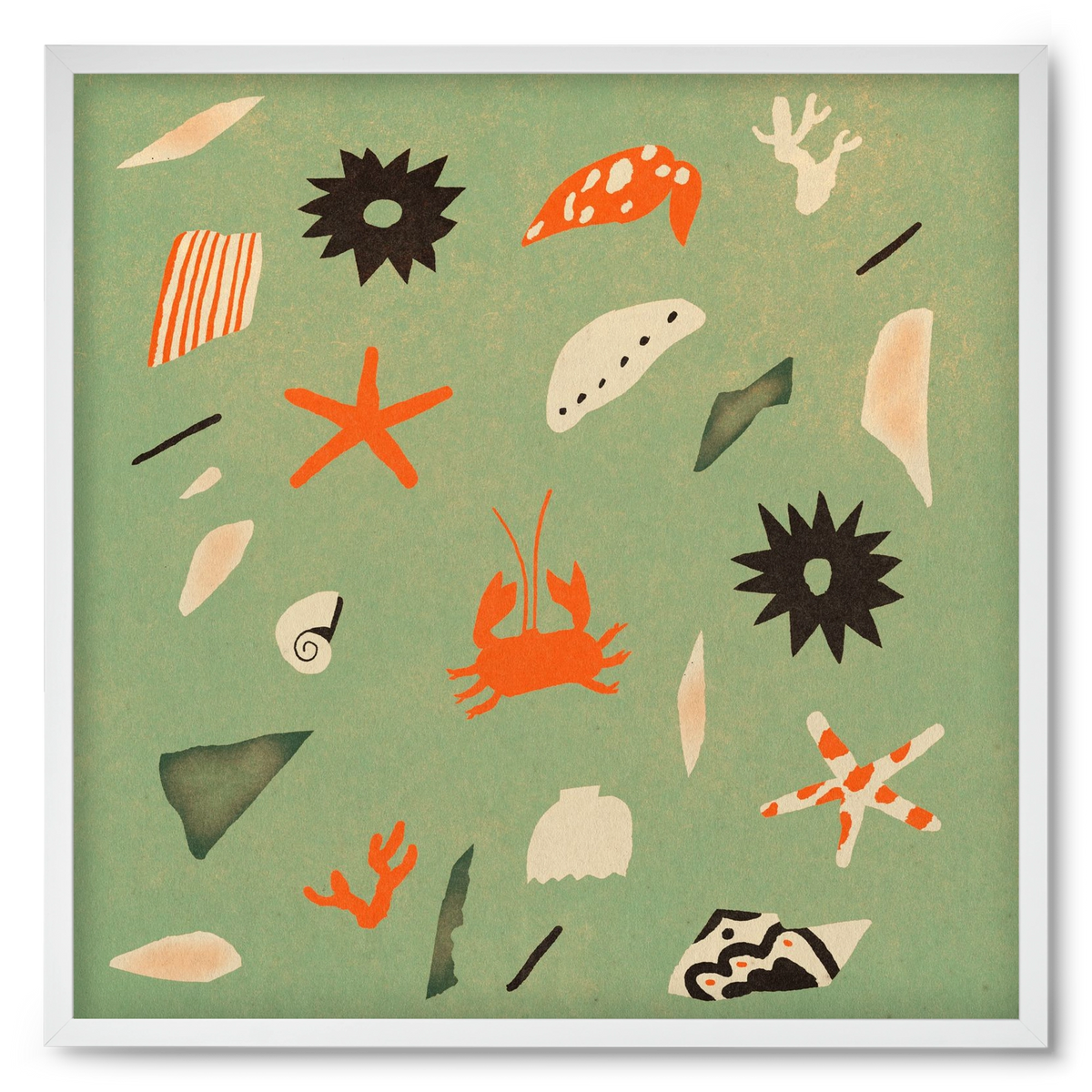 Sealife, 50x50 cm (50x50 cm), Fehér keret