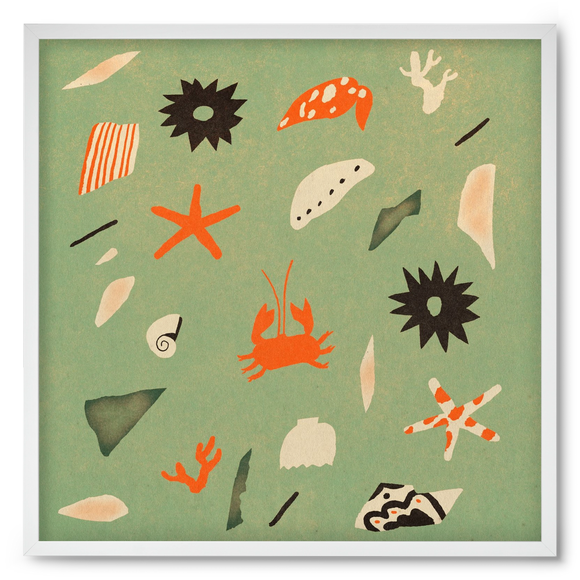 Sealife, 50x50 cm (50x50 cm), Fehér keret