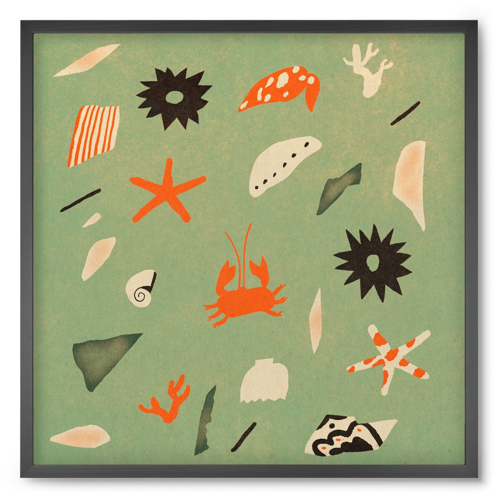 Sealife, 50x50 cm (50x50 cm), Fekete keret