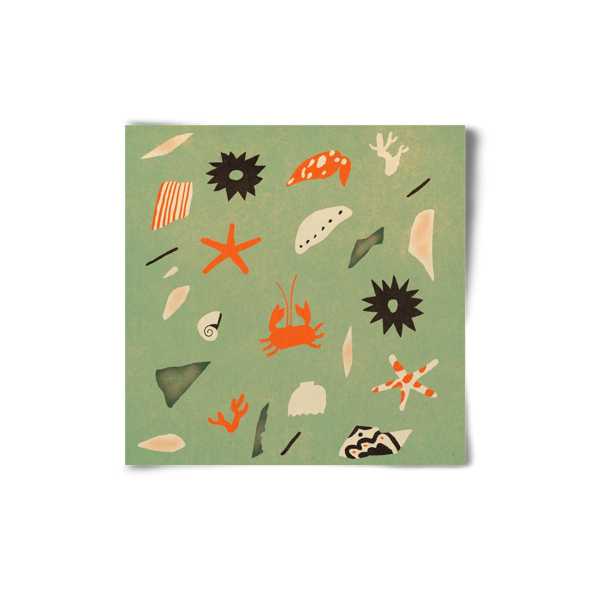 Sealife, 20x20 cm, Keret nélkül