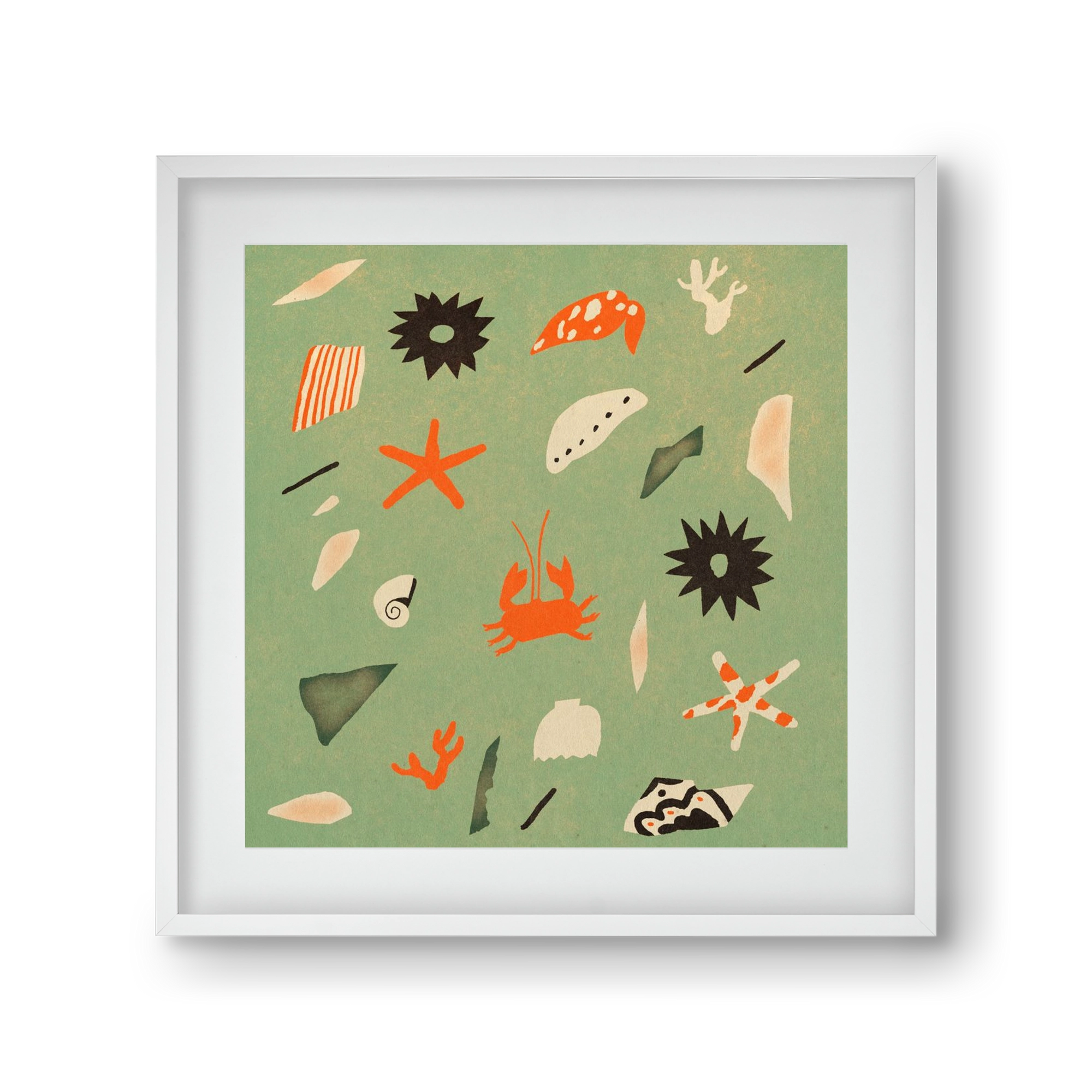 Sealife, 30x30 cm (20x20 cm), Fehér keret, paszpartuval