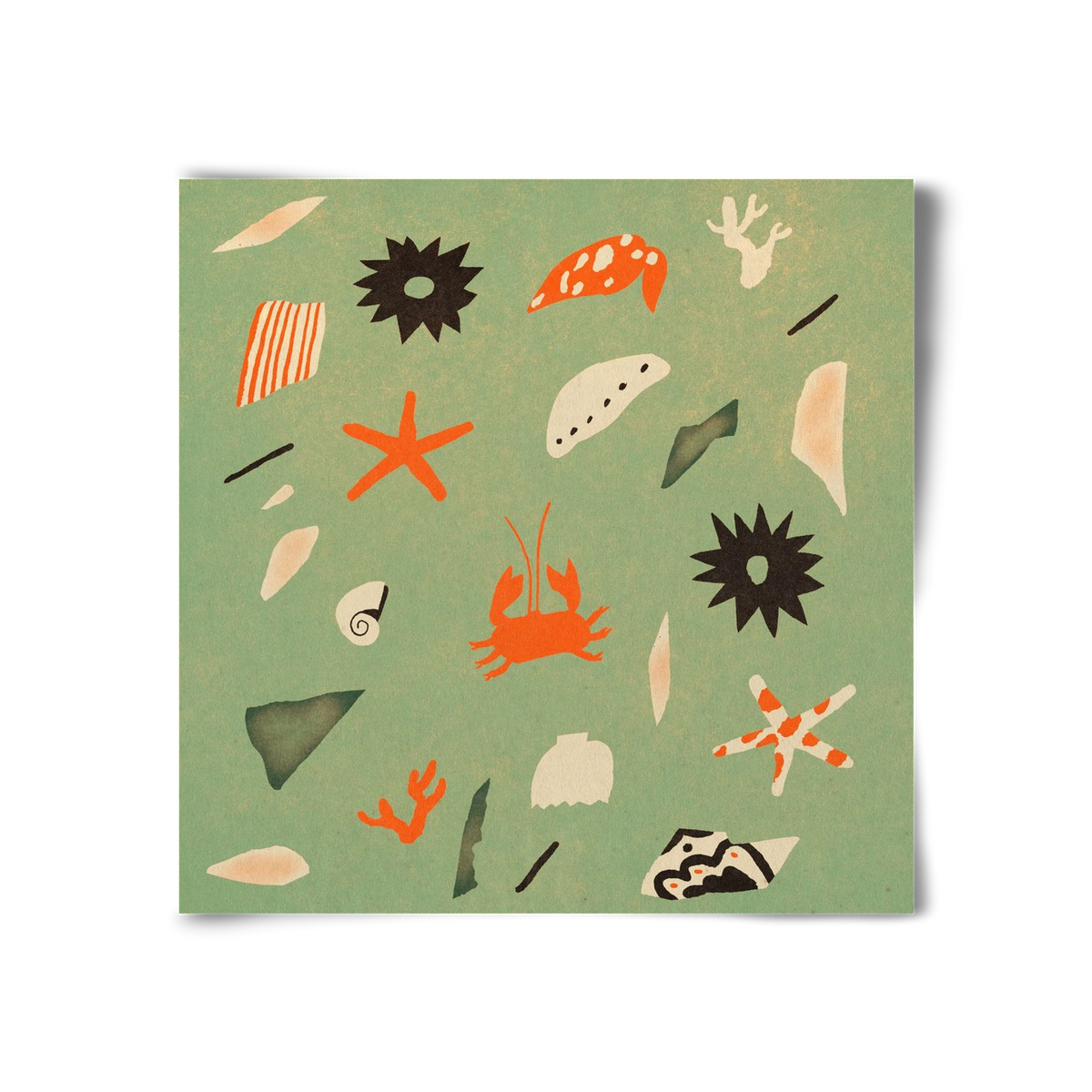 Sealife, 30x30 cm, Keret nélkül