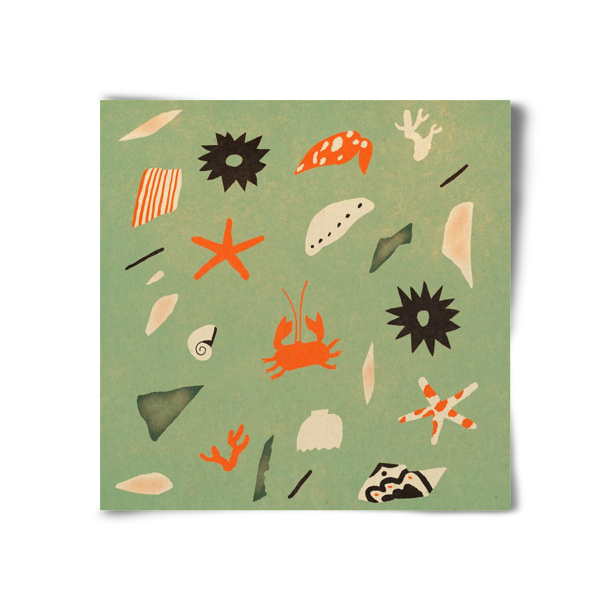 Sealife, 30x30 cm, Keret nélkül