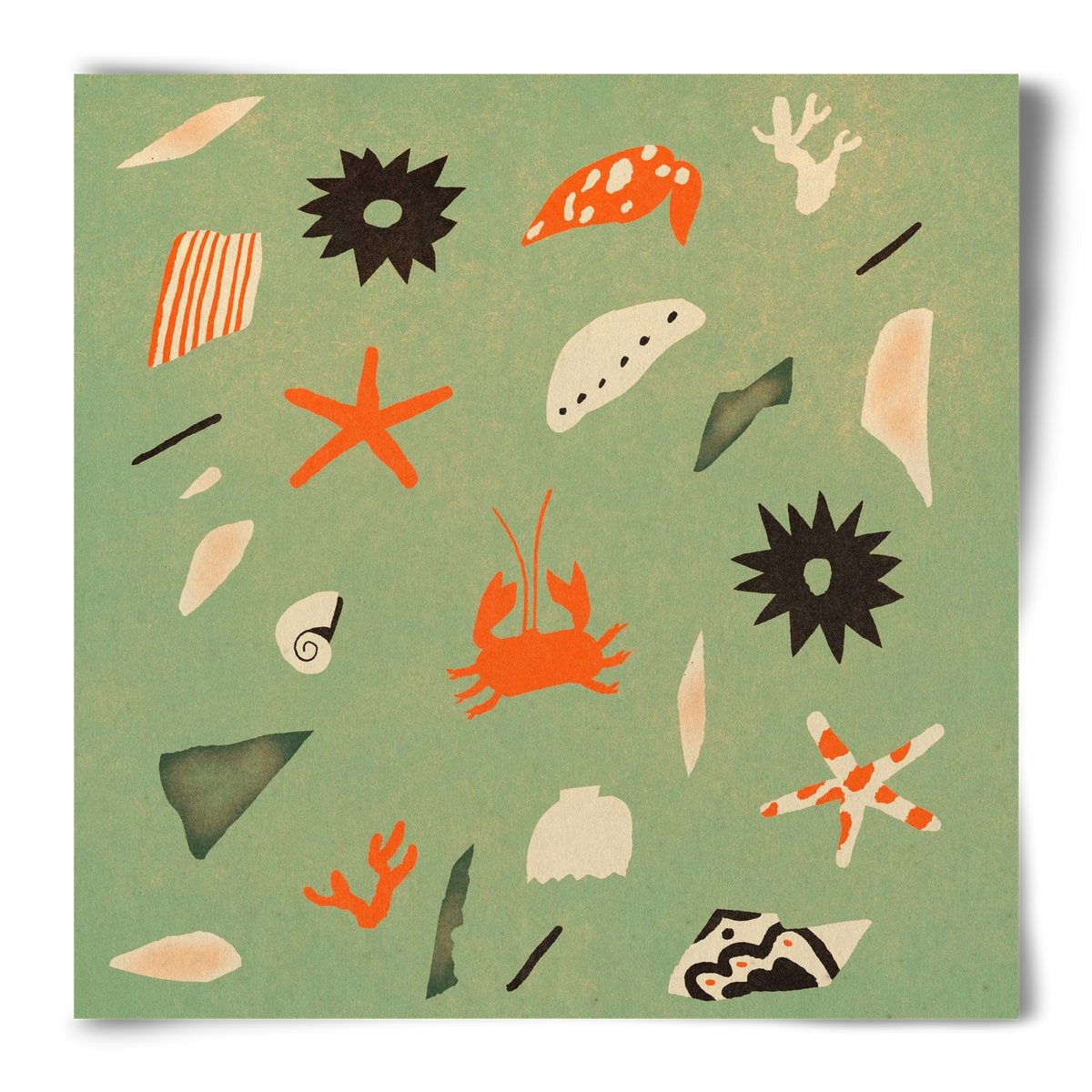 Sealife, 50x50 cm, Keret nélkül