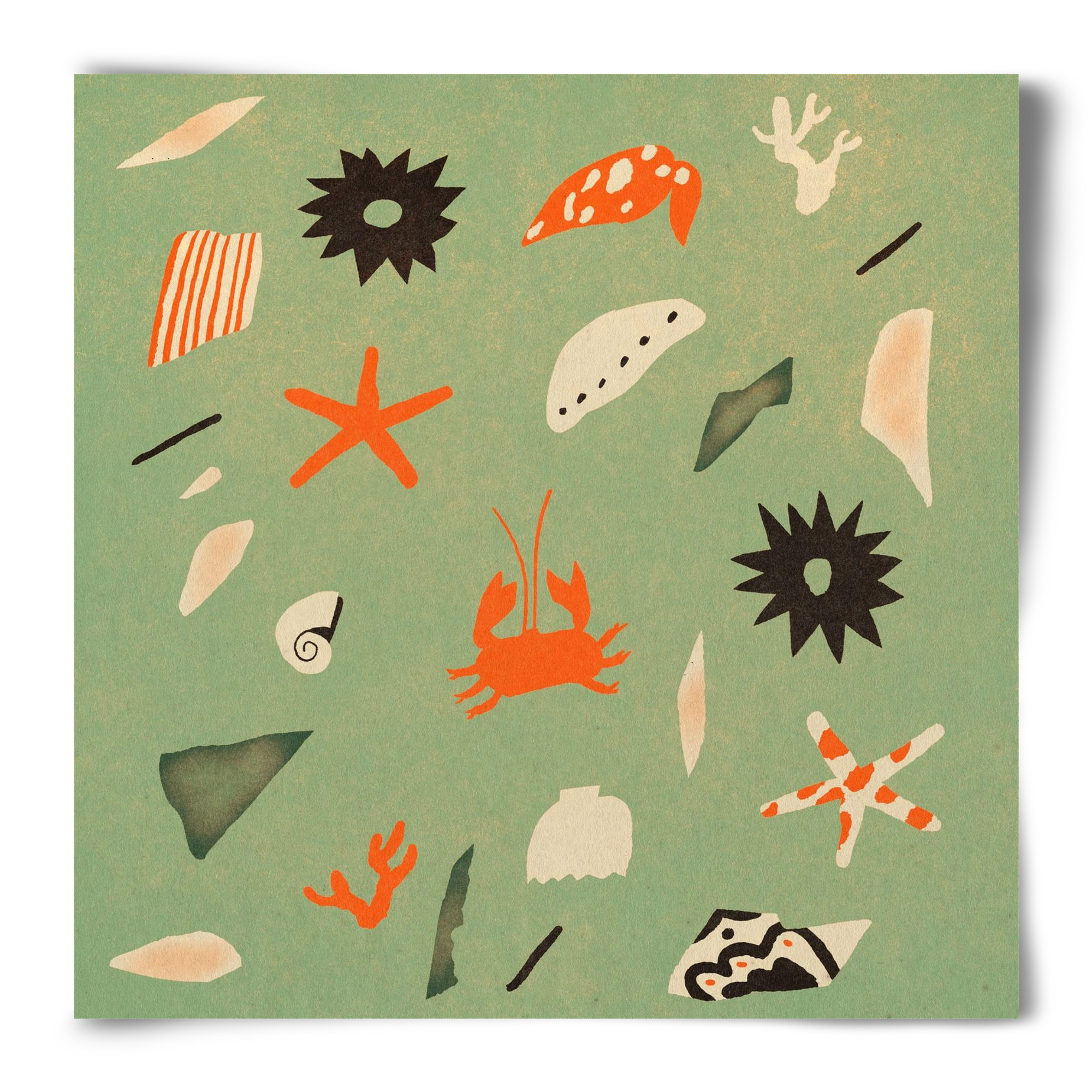 Sealife, 50x50 cm, Keret nélkül