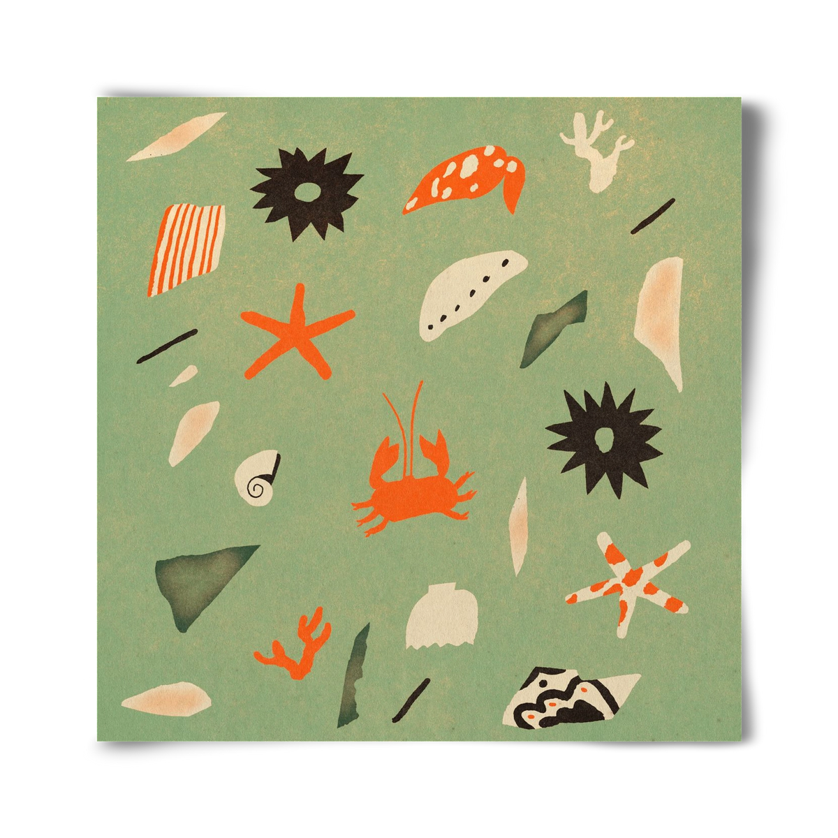 Sealife, 40x40 cm, Keret nélkül