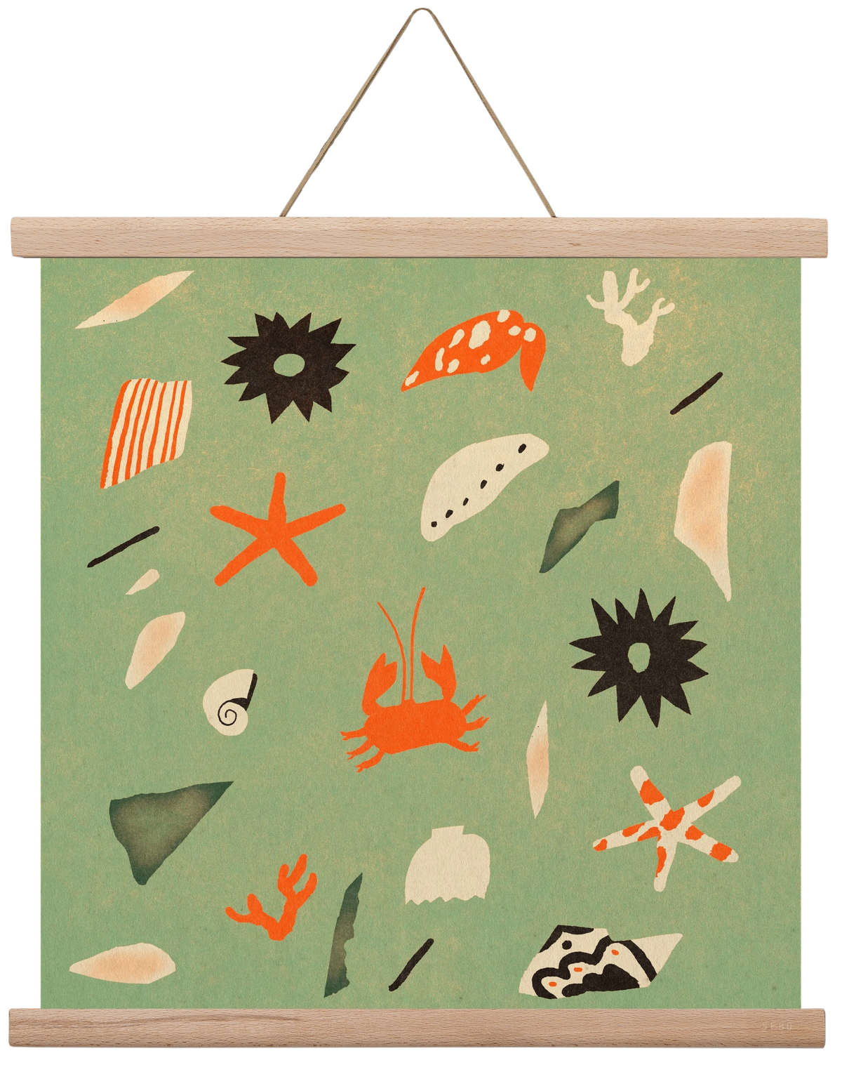 Sealife, 40x40 cm (40x40 cm), Tölgy akasztó