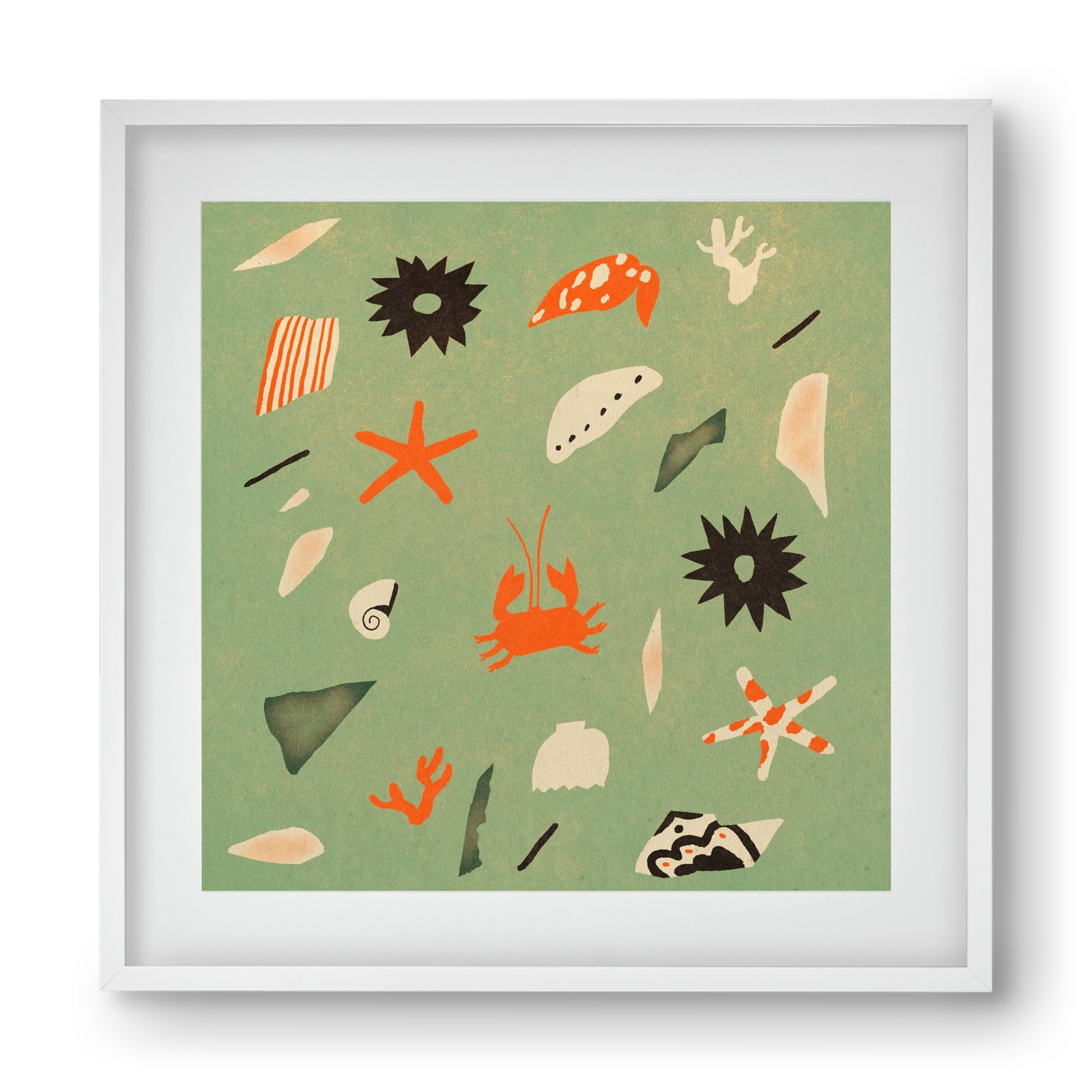 Sealife, 40x40 cm (30x30 cm), Fehér keret, paszpartuval