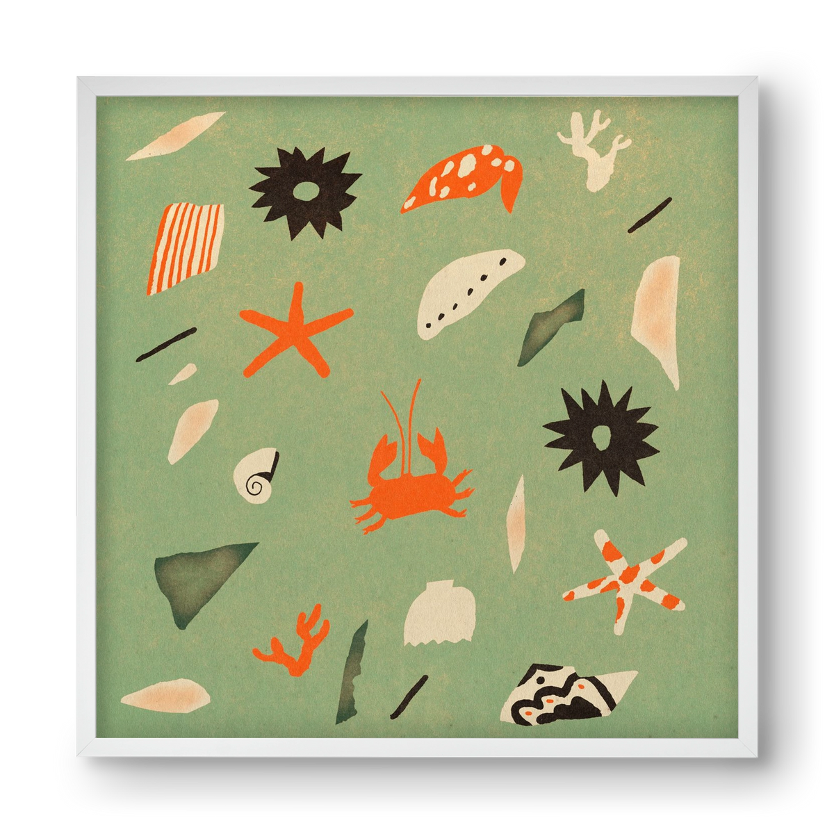 Sealife, 40x40 cm (40x40 cm), Fehér keret