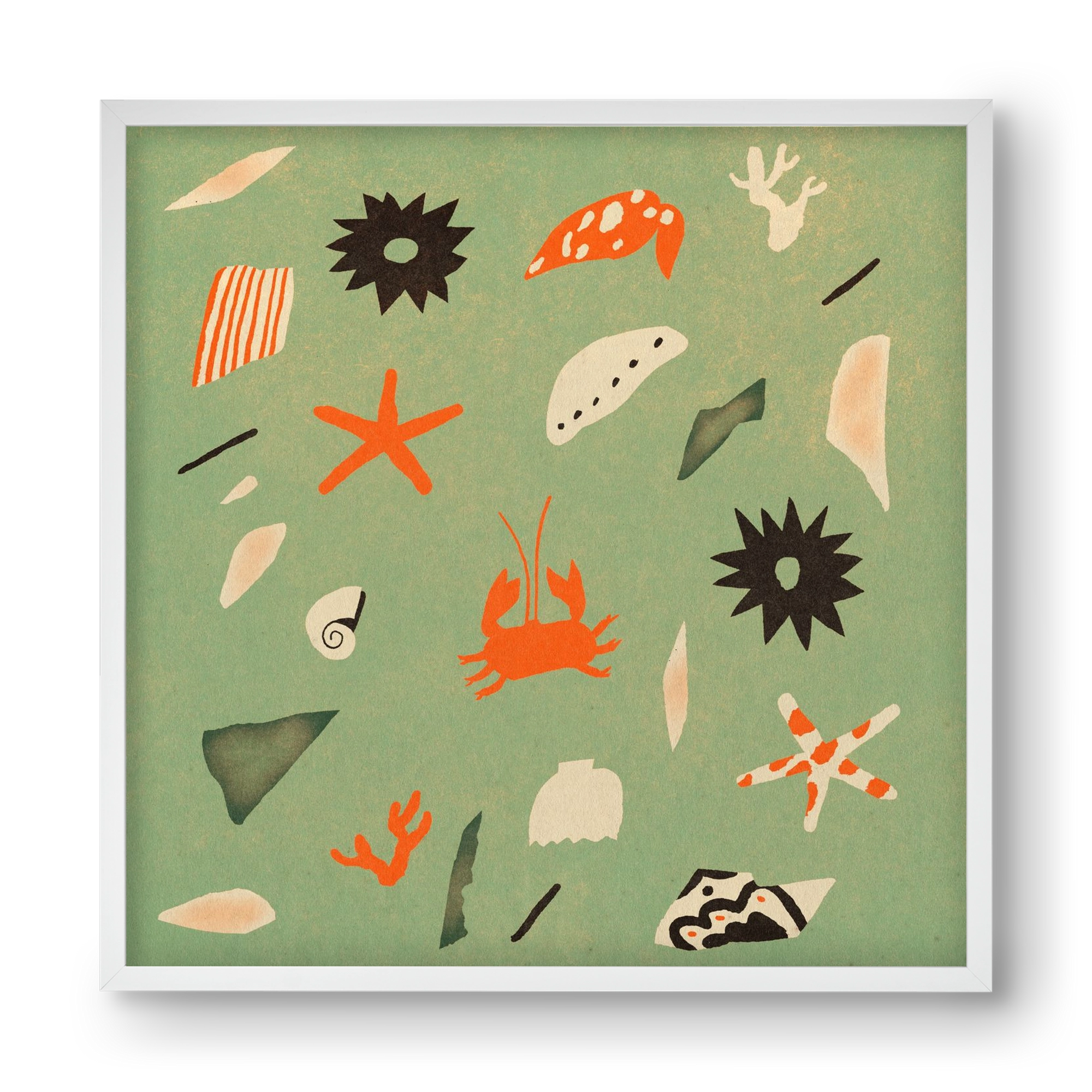 Sealife, 40x40 cm (40x40 cm), Fehér keret