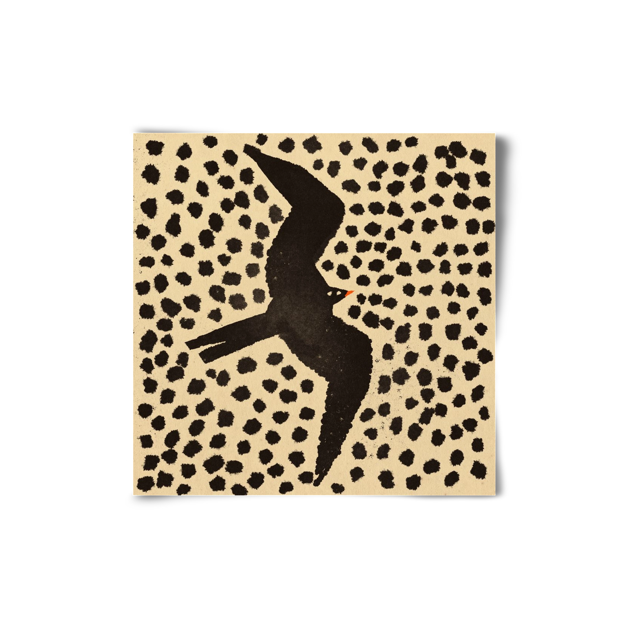 Black bird, 20x20 cm, Keret nélkül