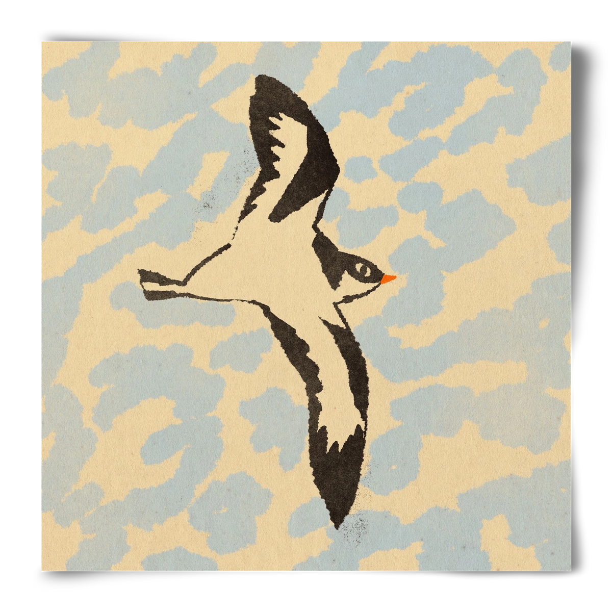 Swallow bird, 50x50 cm, Keret nélkül