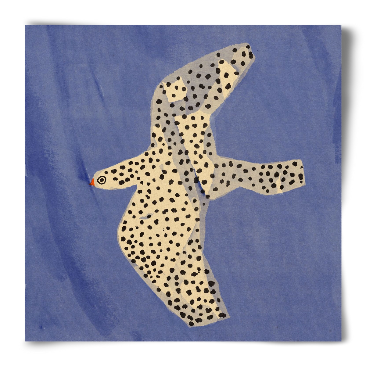 Spotted bird, 50x50 cm, Keret nélkül